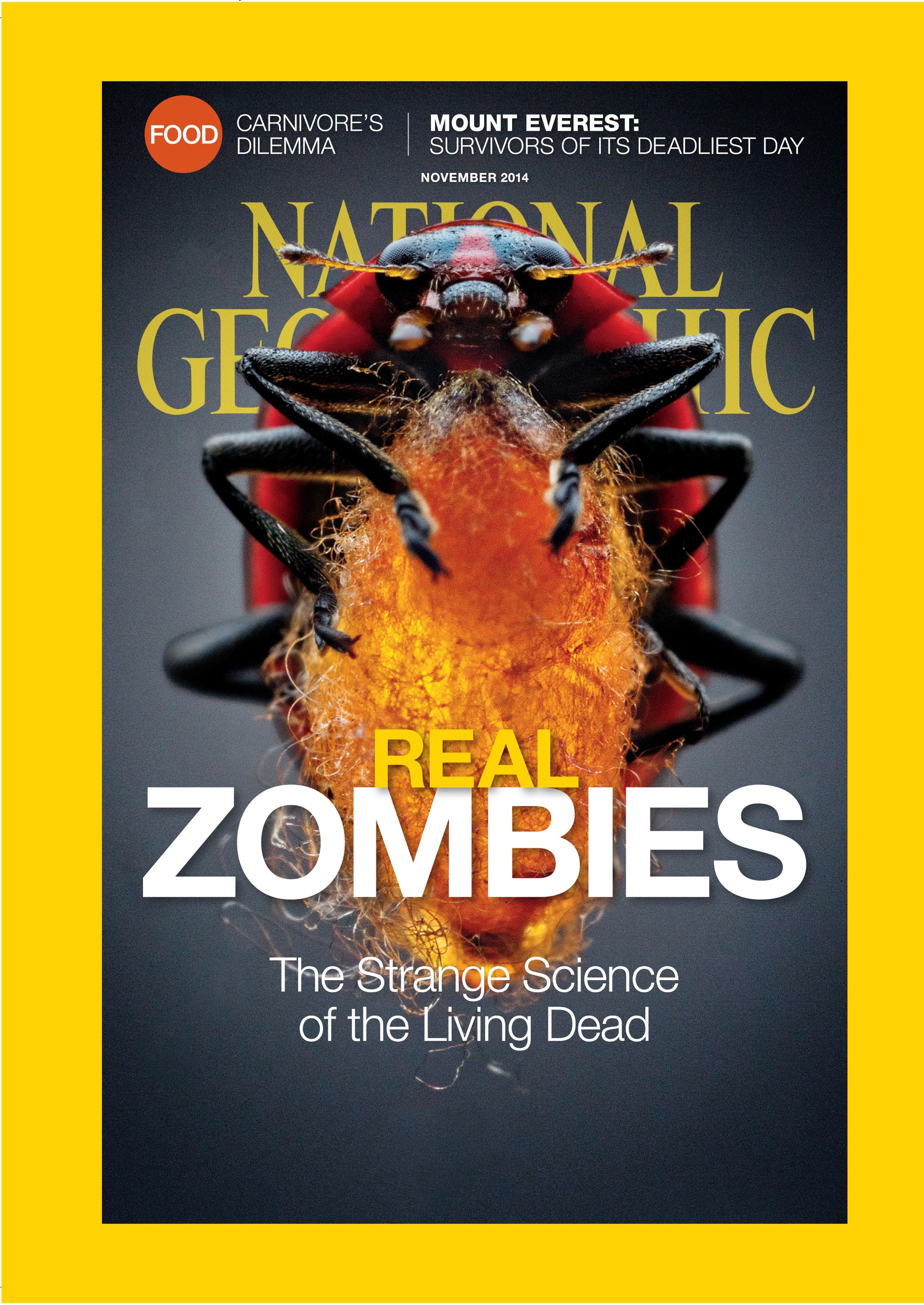 National Geographic magazine’s history in 30 incredible covers ...