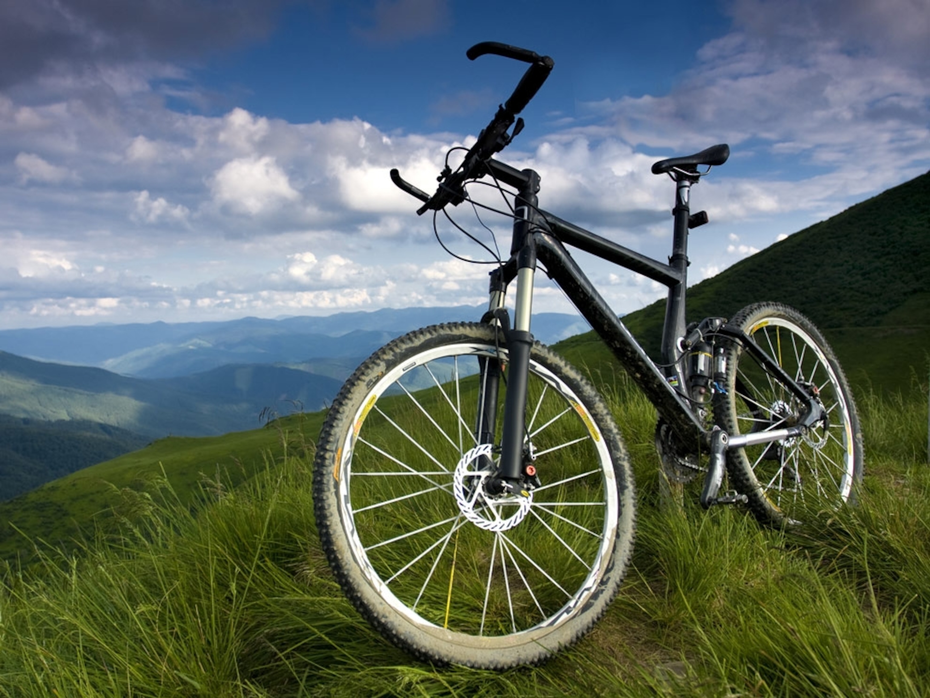 Buying Guide - Bik Shopping Tips - National Geographic's Green Guide | National Geographic