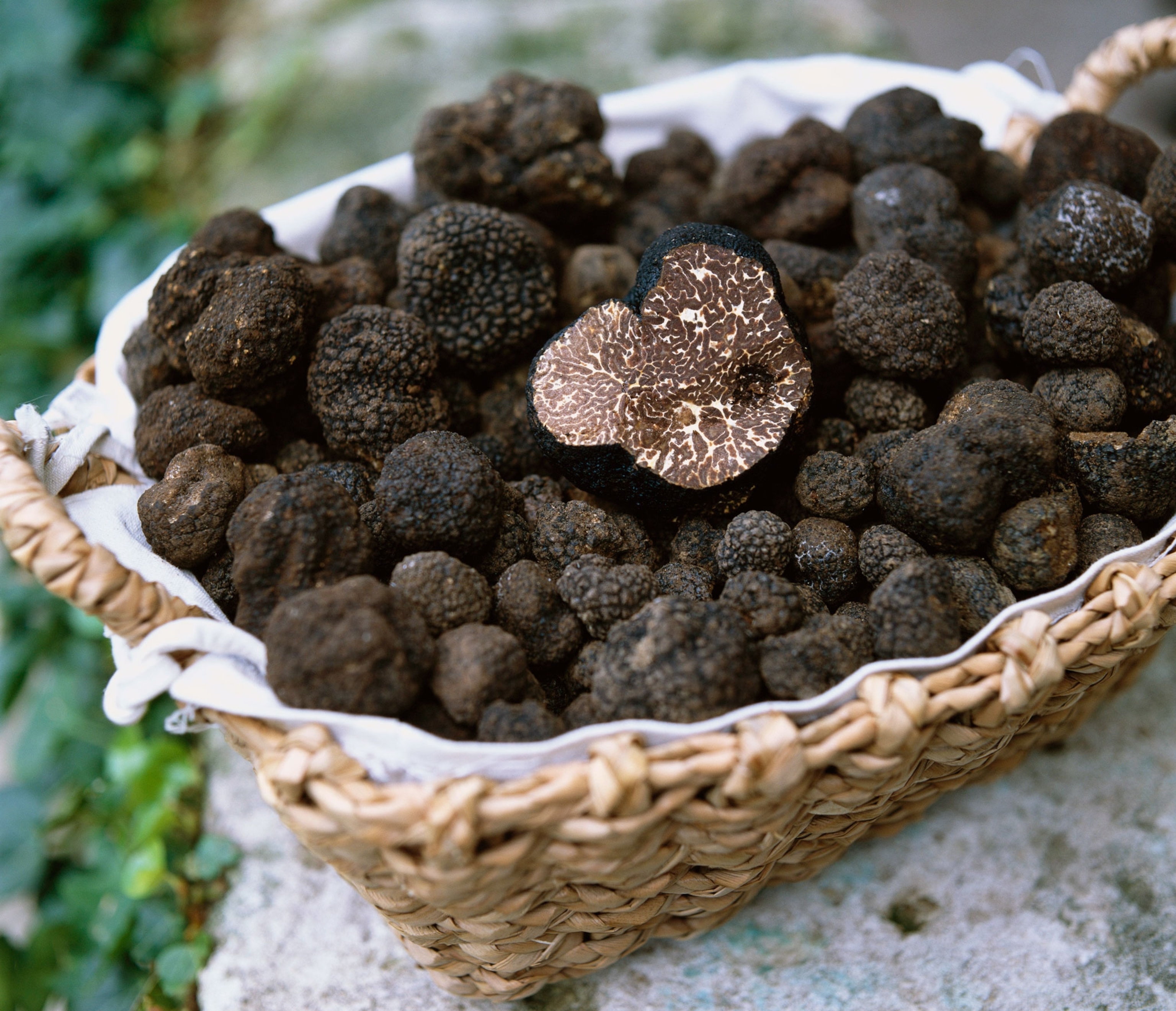 How much does a pound of truffles cost