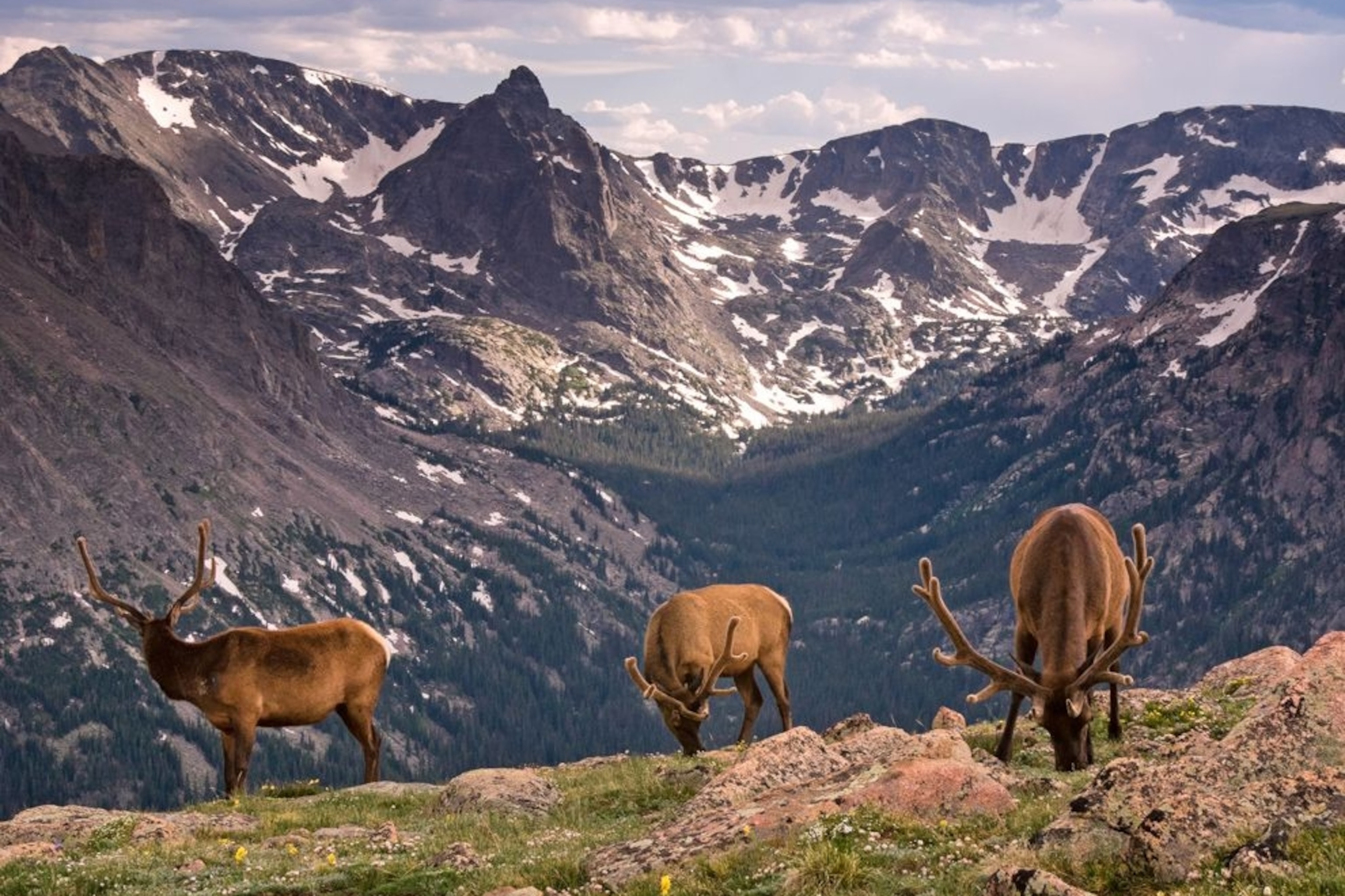 Everything to know about Colorado's Rocky Mountain National Park