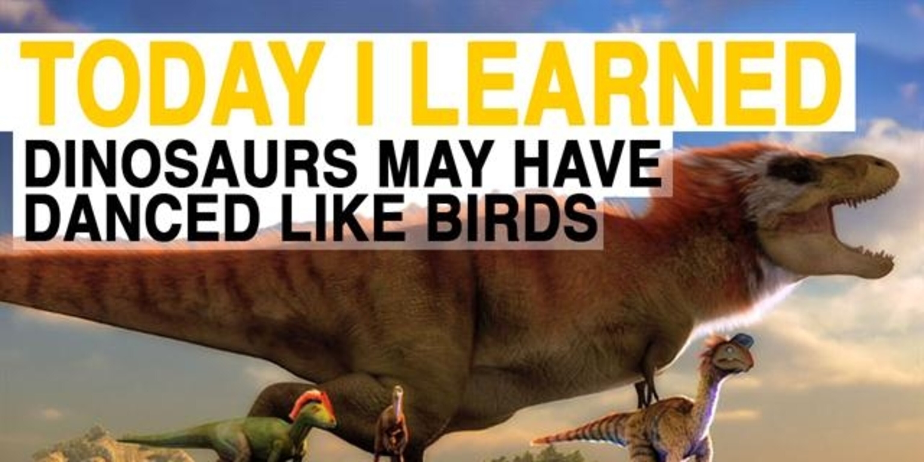 Actually You Could Have Outrun A T Rex