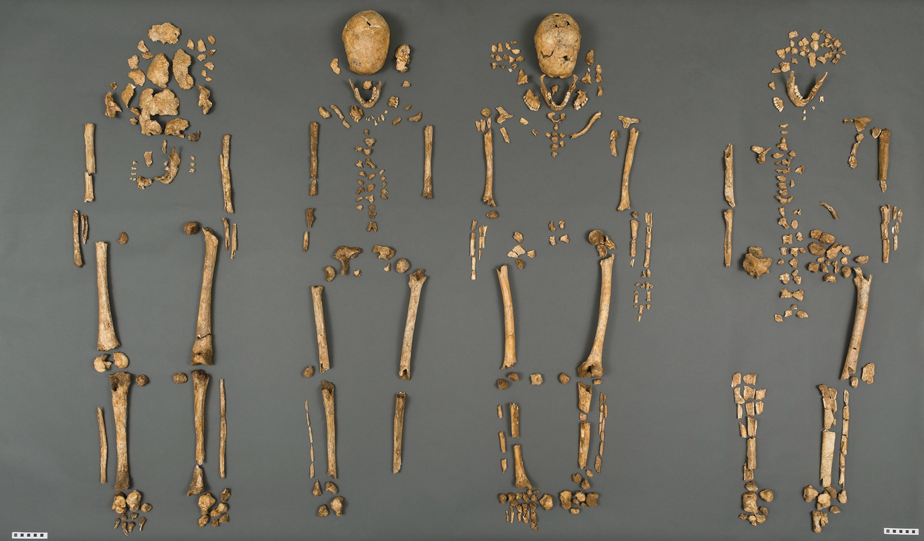 fours sets of human remains excavated from Jamestown, Va.