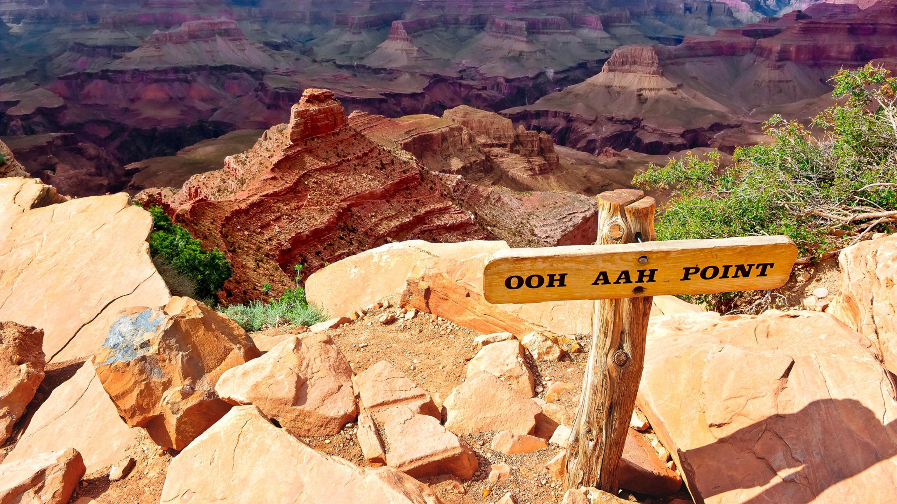 Florida Woman Dies in Fall From Edge of Grand Canyon | National