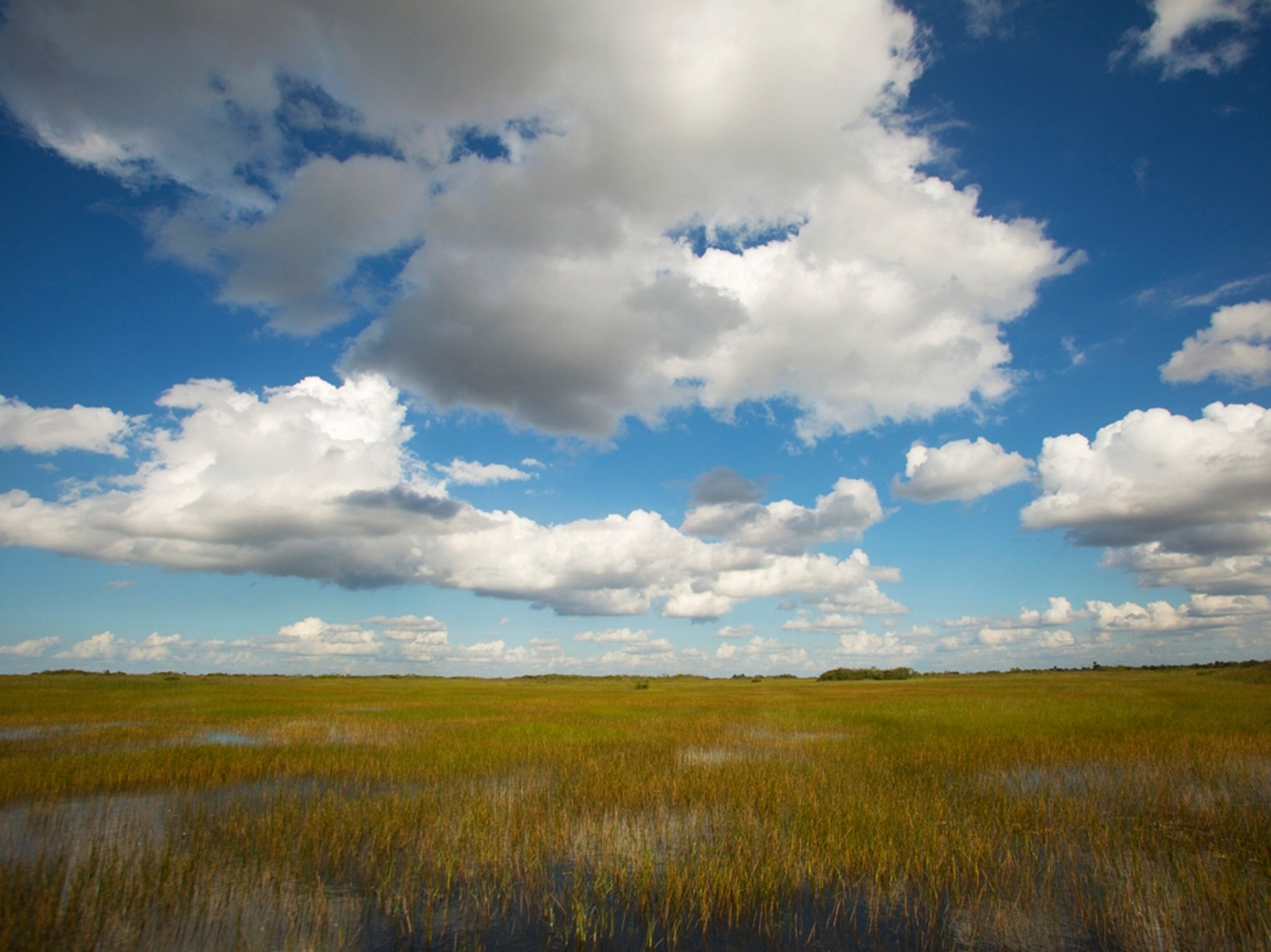 marshland in Everglades National Park, Florida