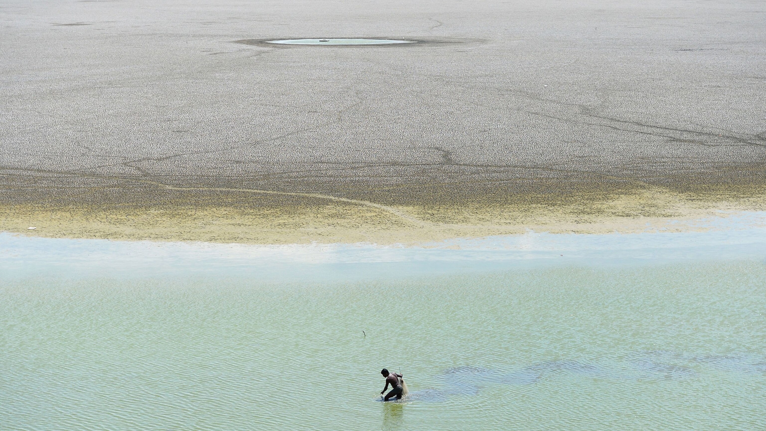 an Indian man searching for fish in a last bit of water in the Puzhal reservoir.