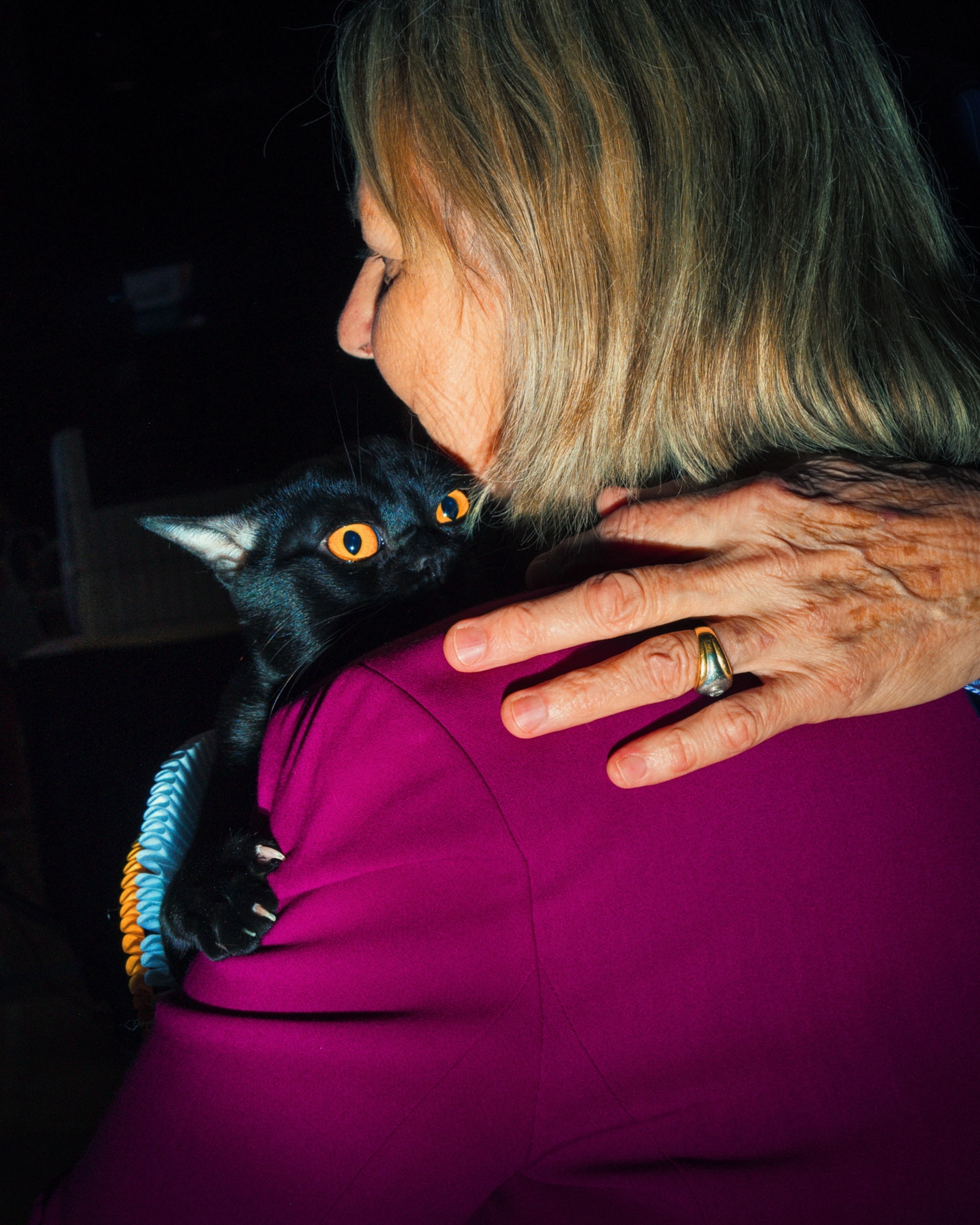 A black cat with yellow eyes looking over the shoulder of its owner
