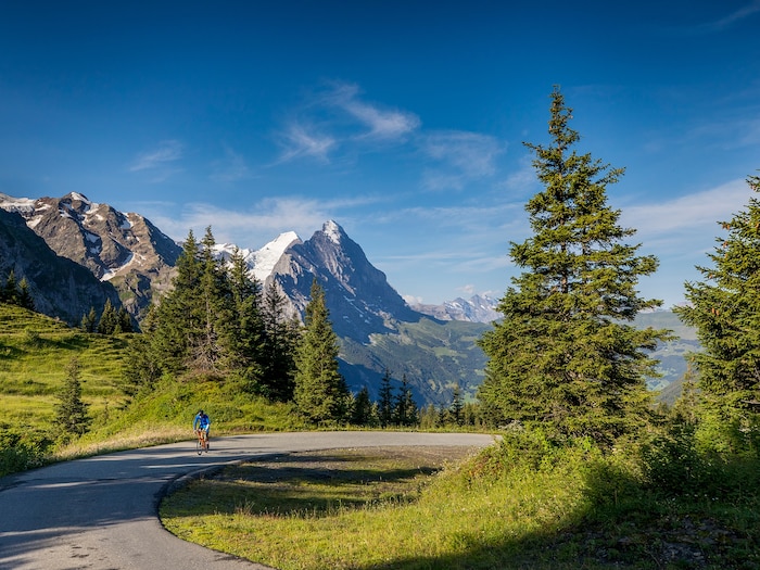 A seasonal guide to Switzerland's best-kept culinary secret | National  Geographic