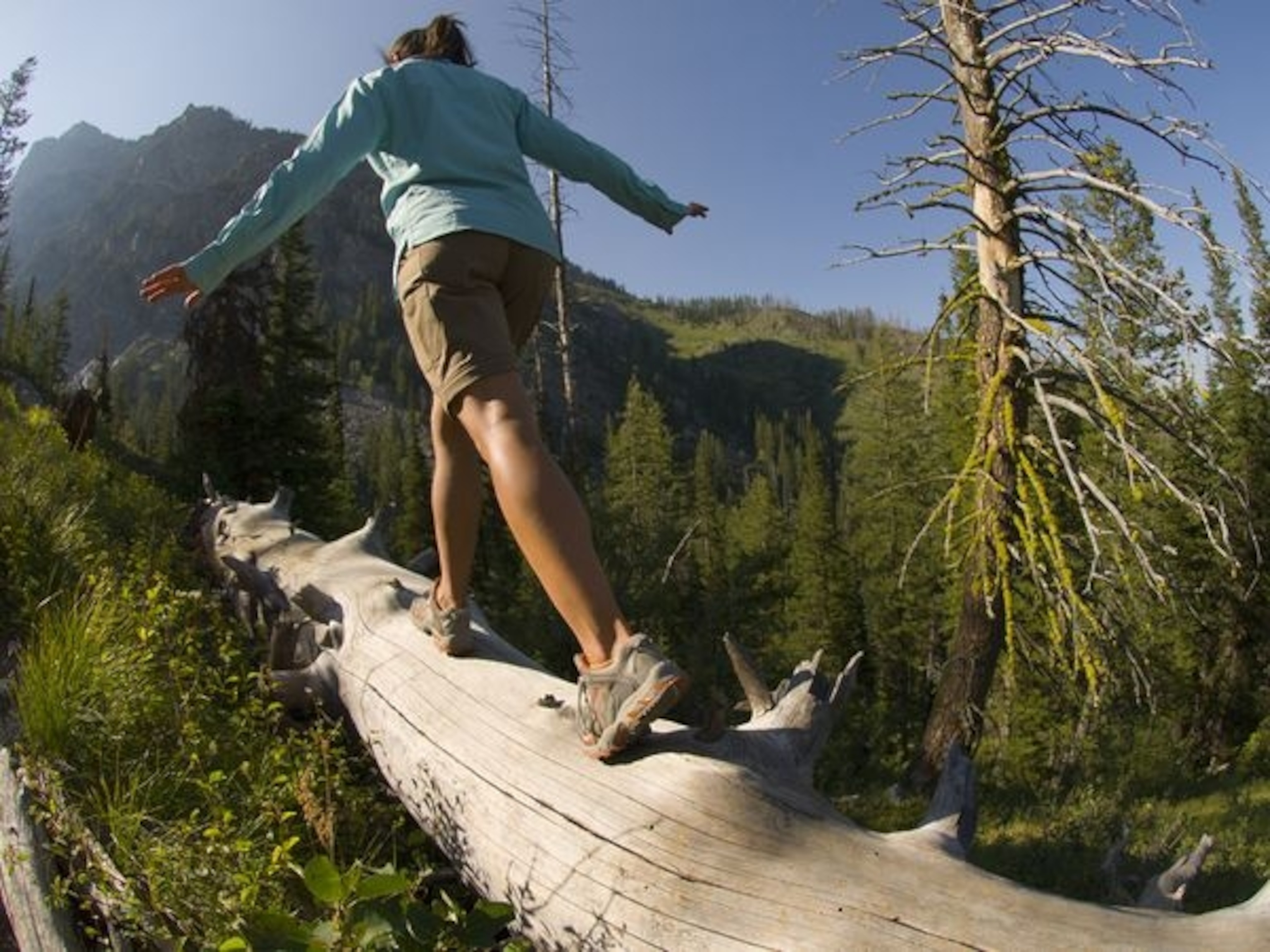 Grand Teton National Park