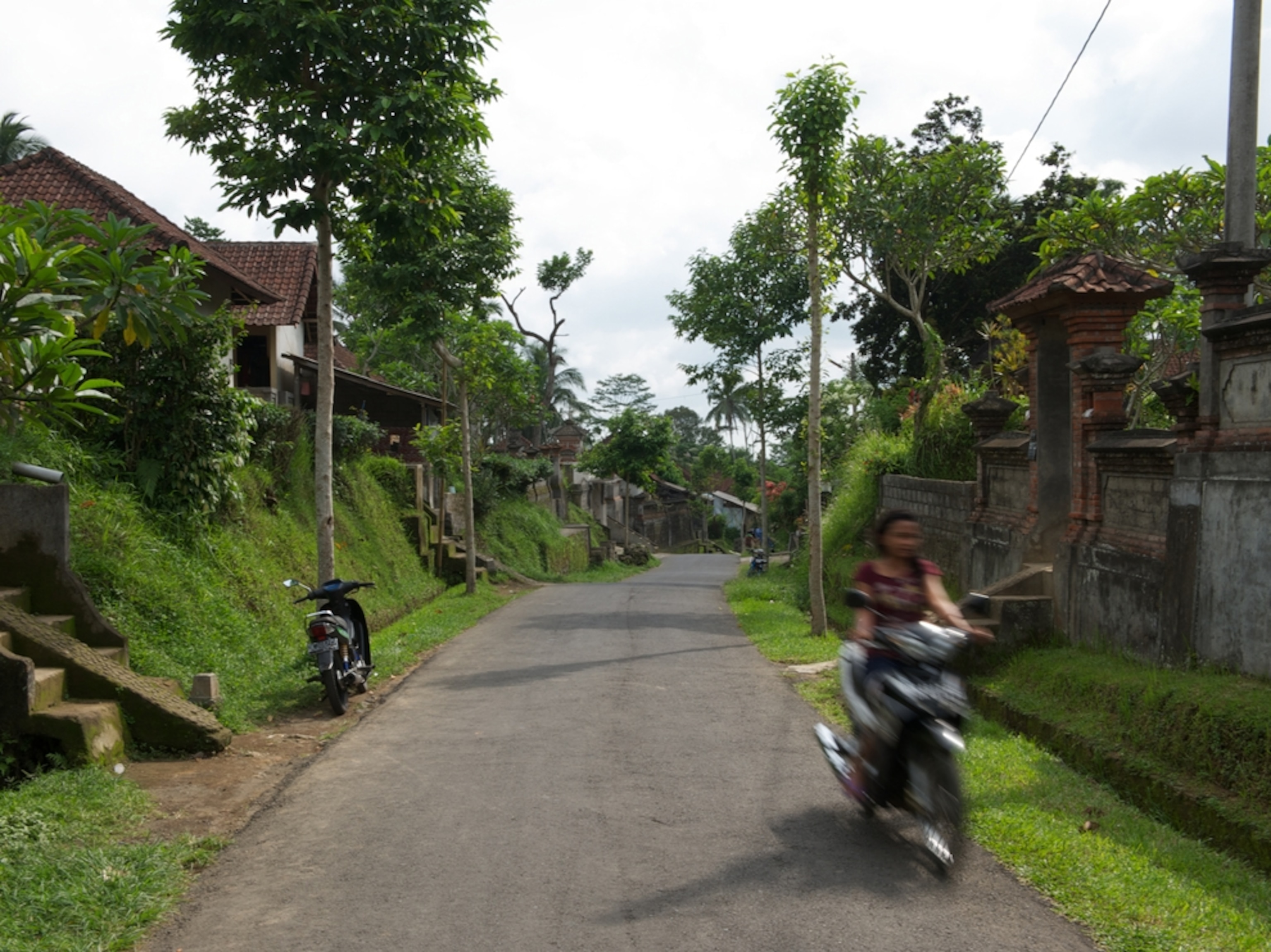 a local Balinese riding a motorcycle through rural village