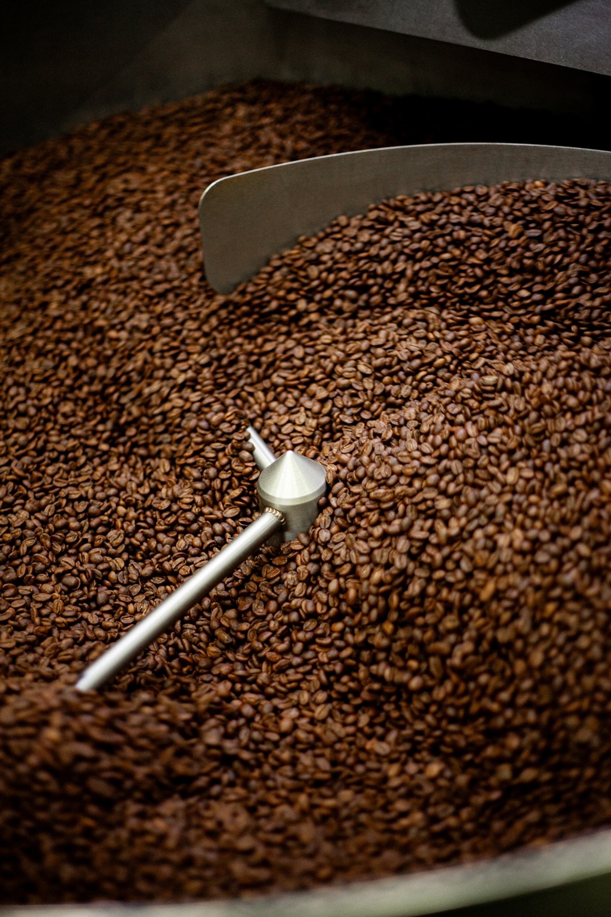 A close-up shot of coffee beans in a roastery.