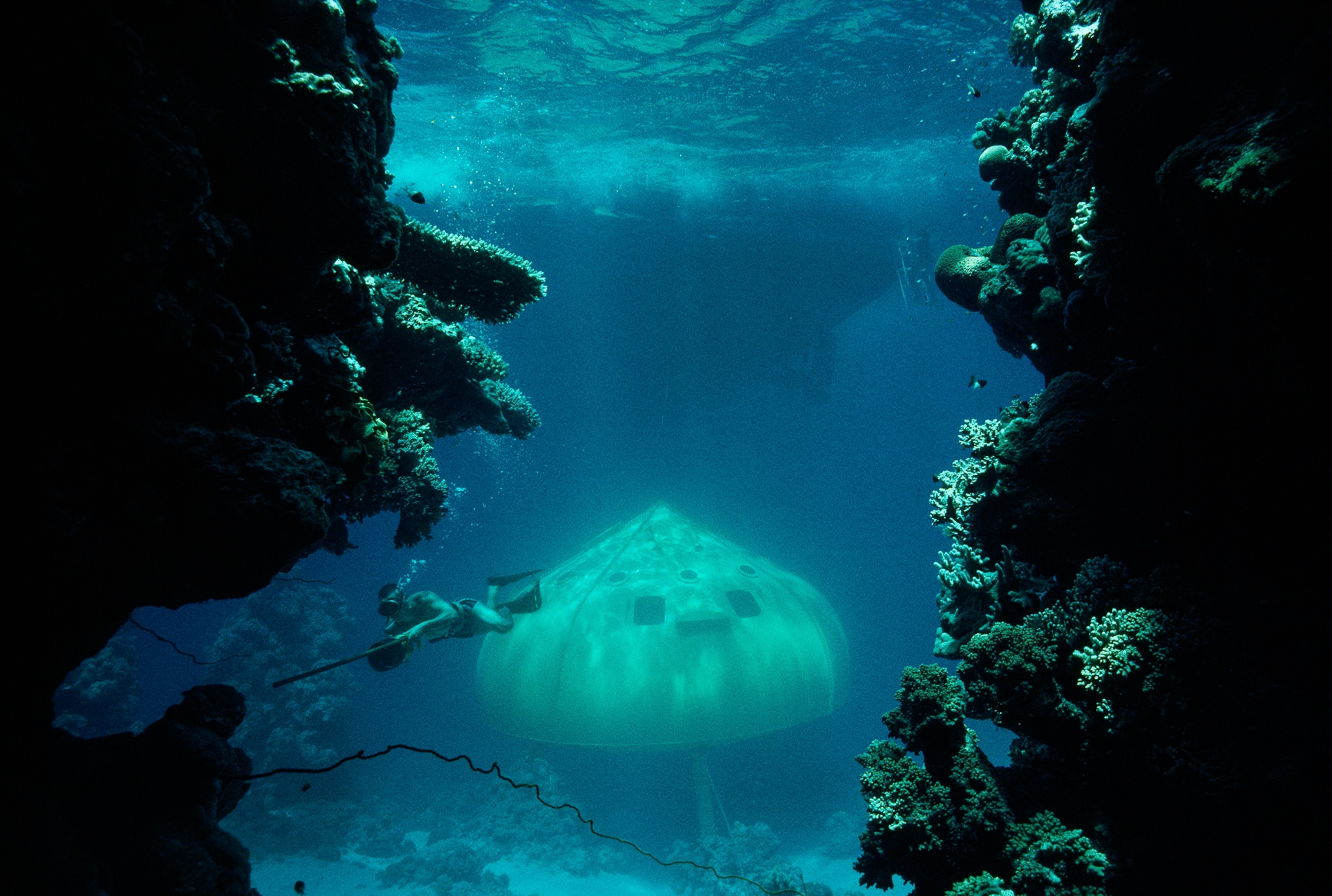 a school of fish around the research vessel, Aquarius.