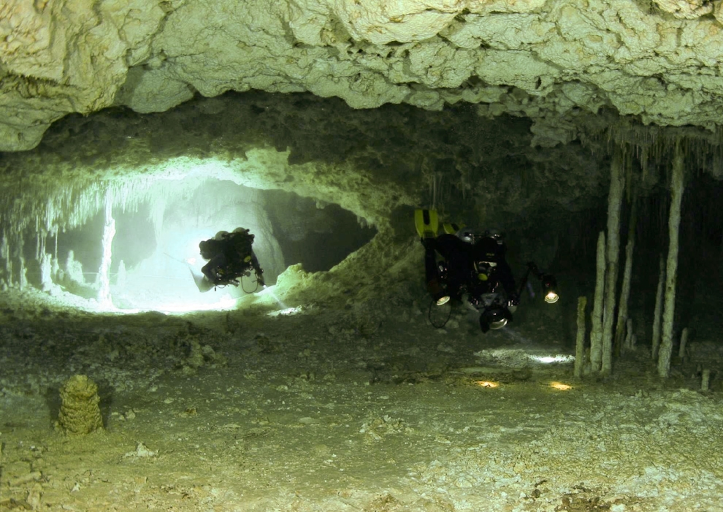 Archaeologists dive underwater.