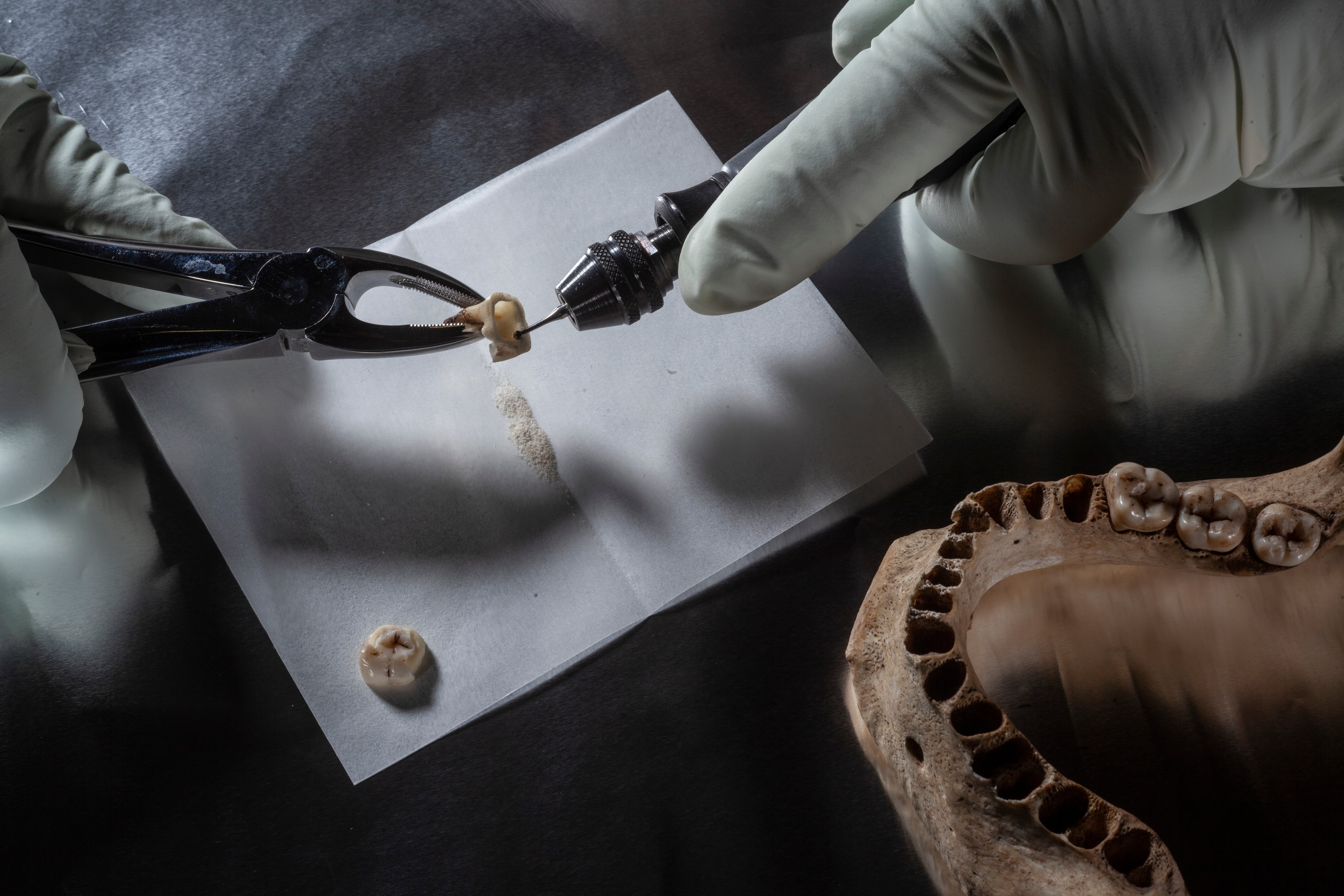 How ancient DNA—from Neanderthals to the Black Plague—has transformed ...