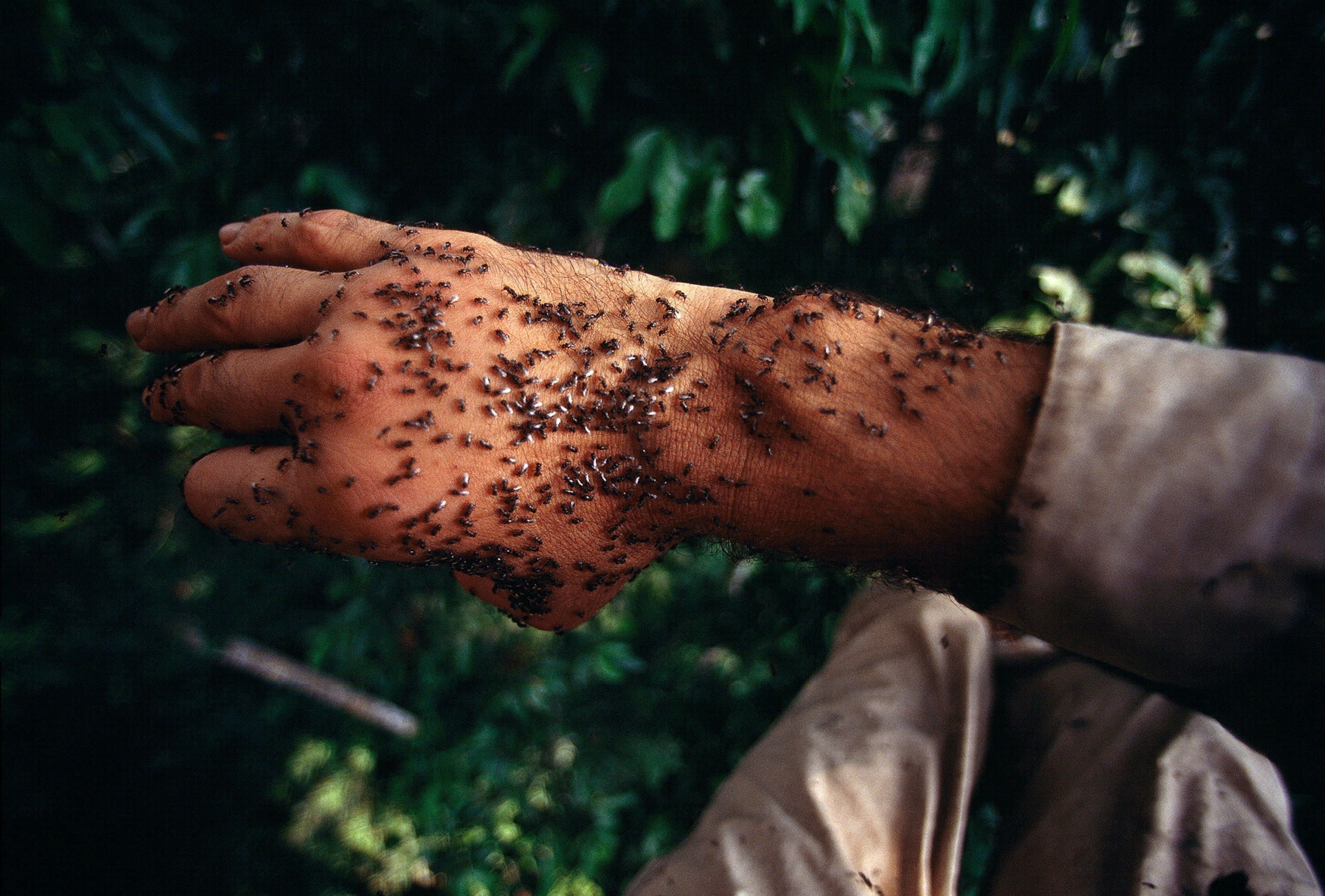 explorers in perilous situations