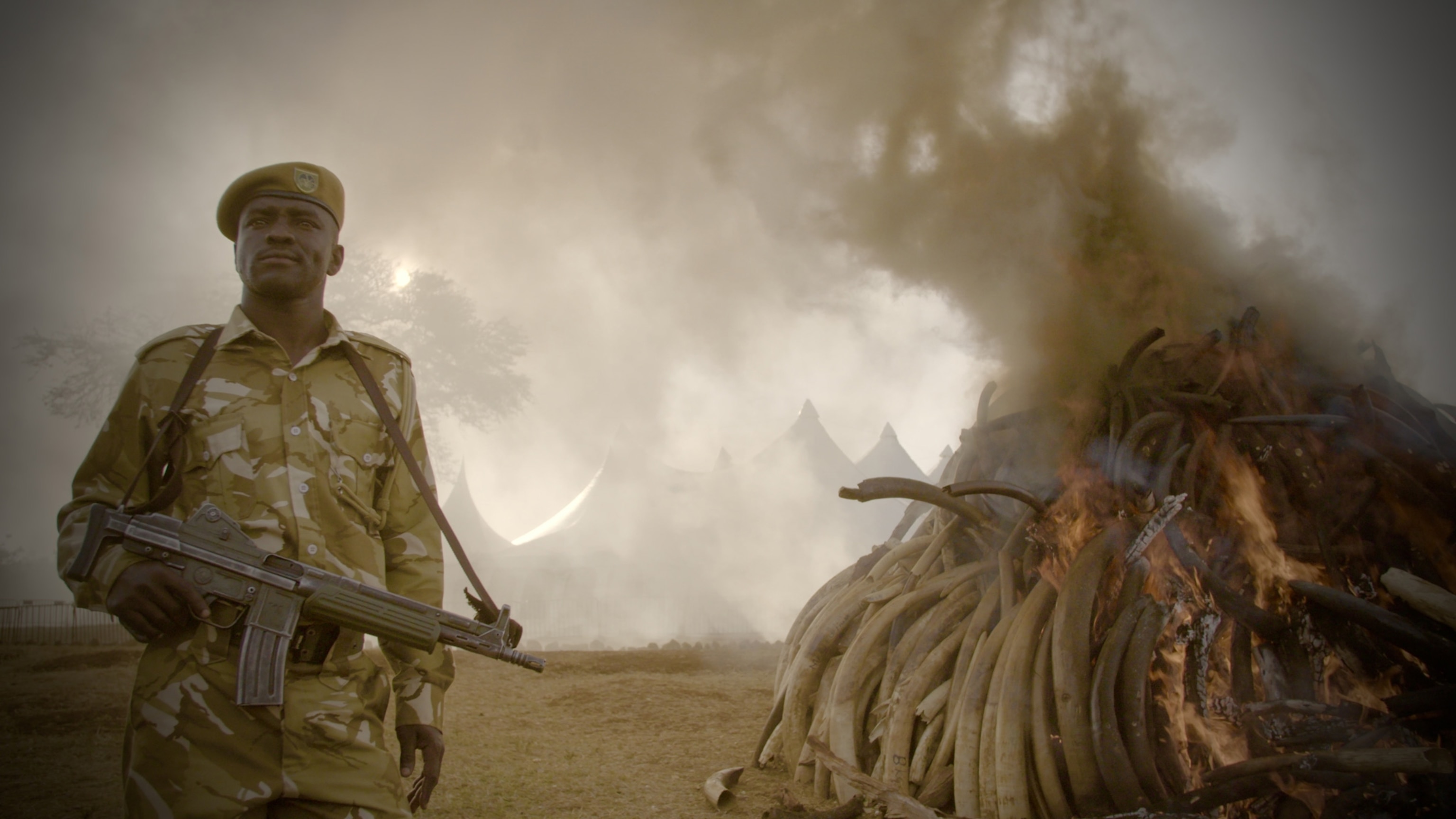ivory burning in Nairobi