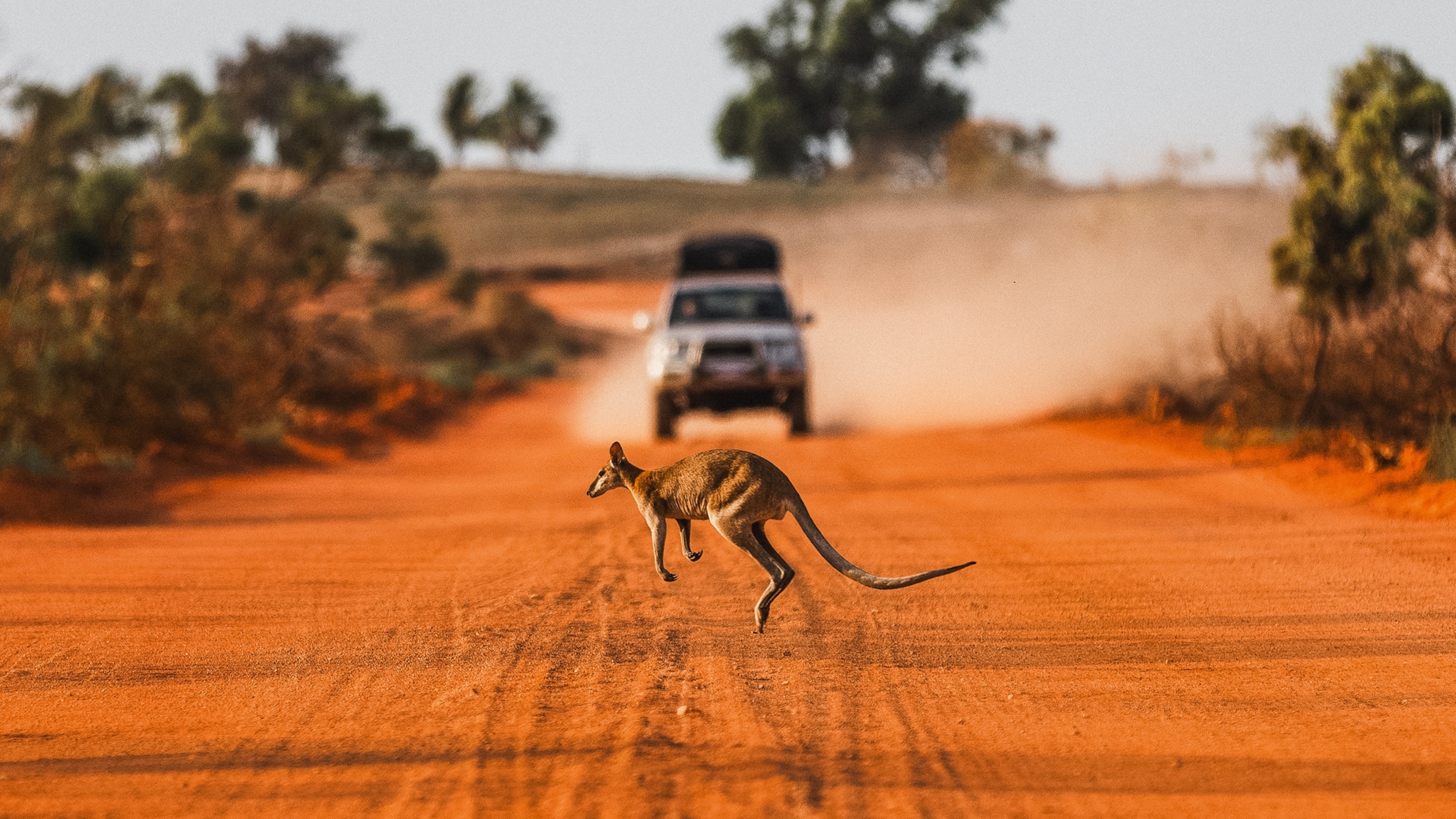 7 of the world's best self-drive safaris