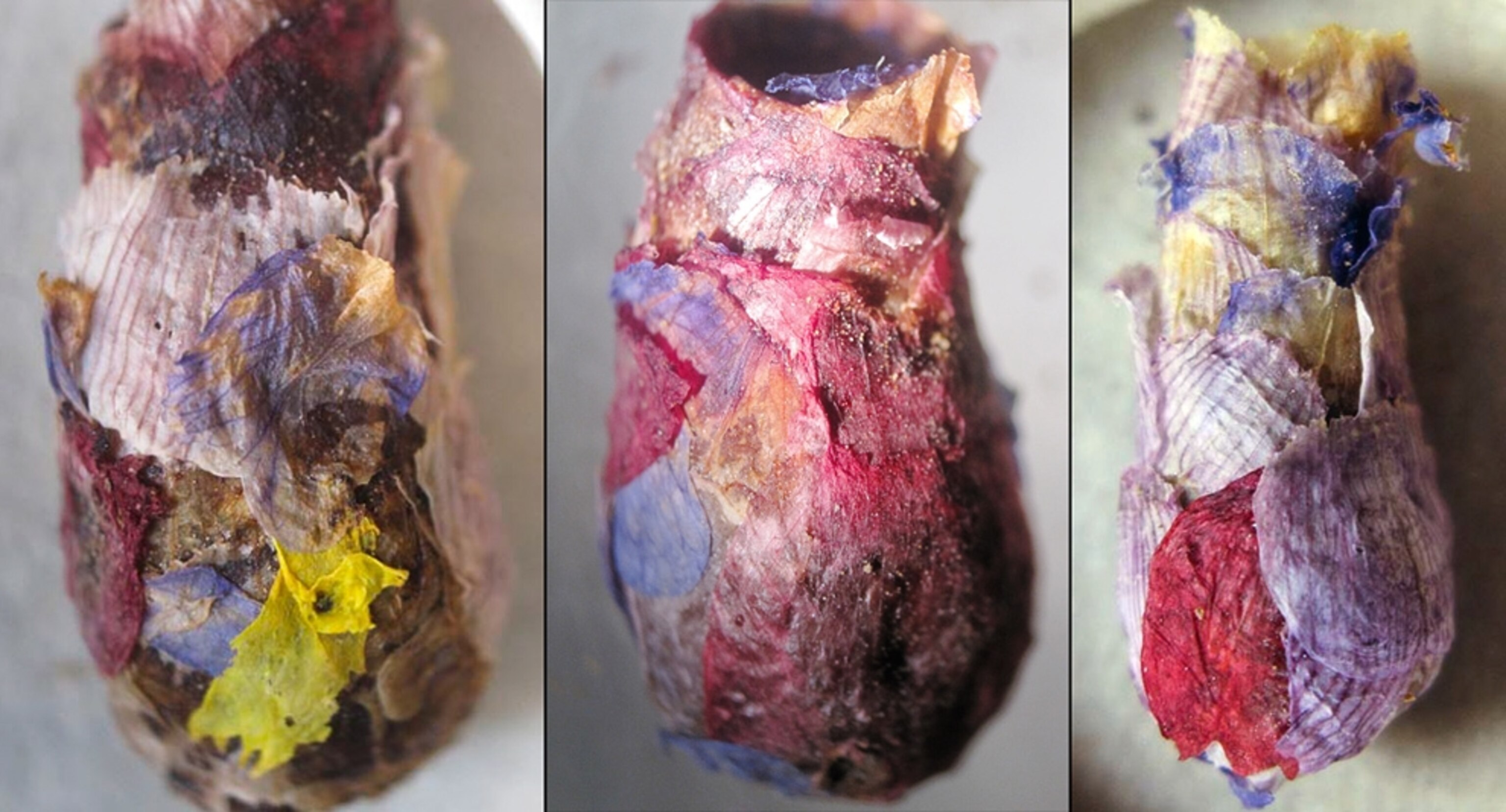 A picture of three multicolored bee nests.