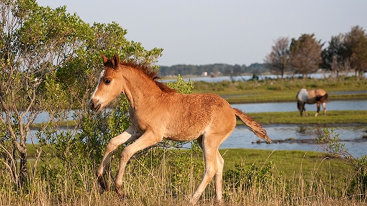 6 Stand-Out National Wildlife Refuges | National Geographic