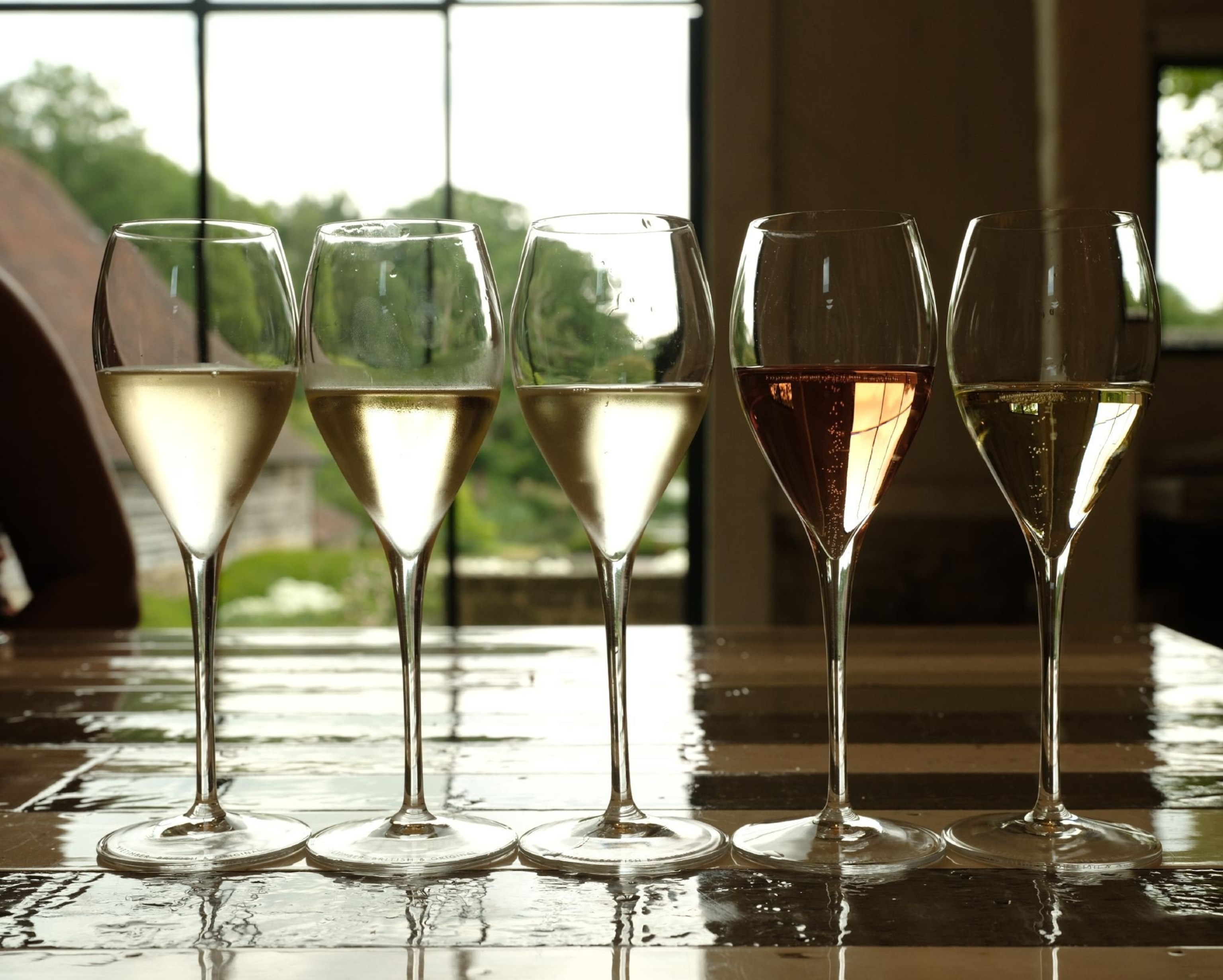 glasses of wine during a visit of Nyetimber estate, England