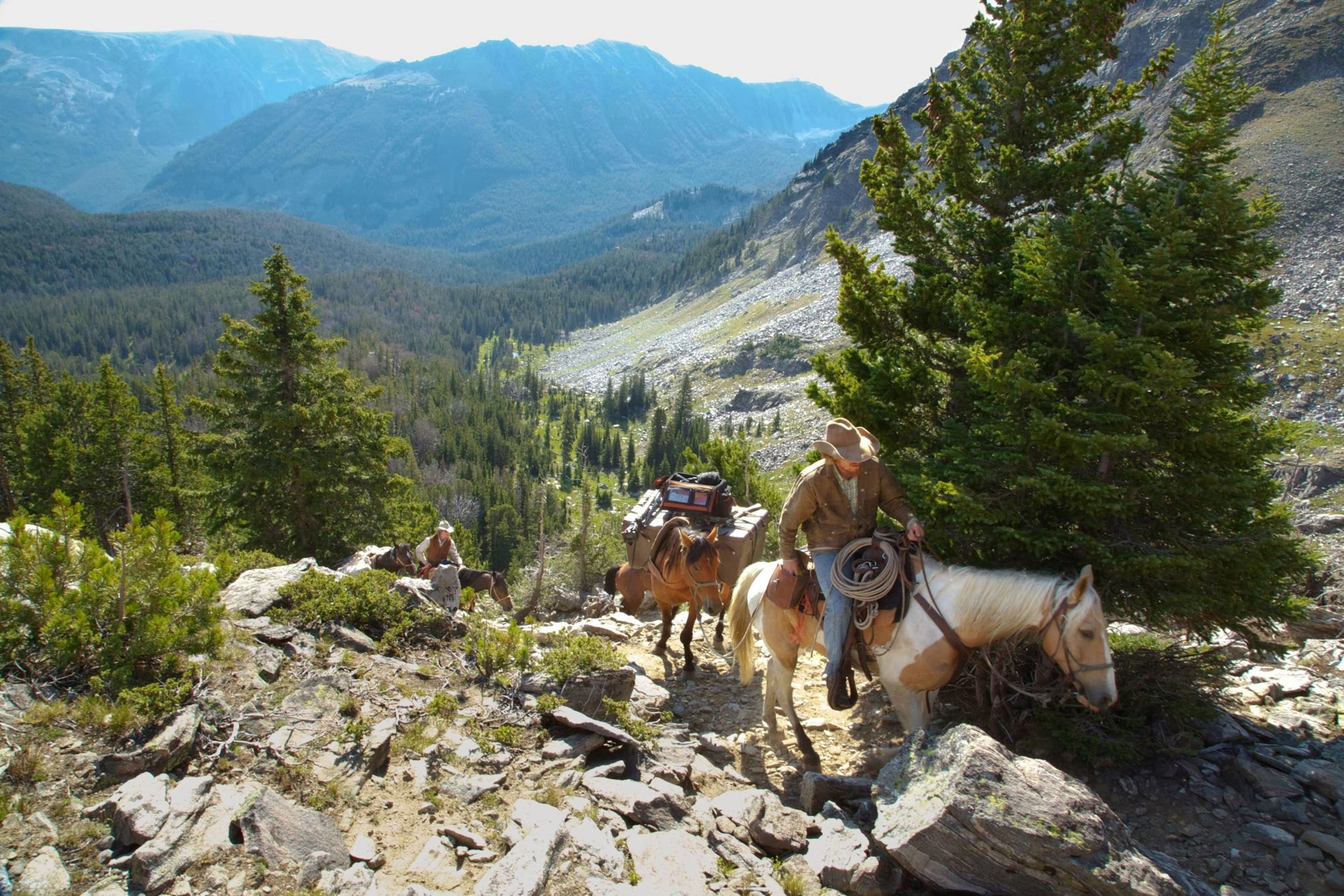 Ben Masters on his horse with a team of horses behind him