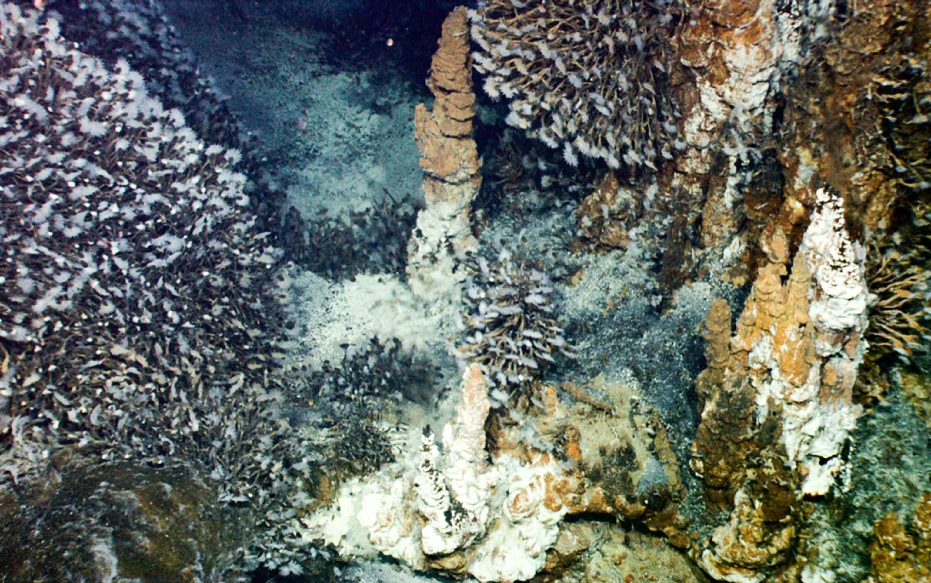 a sulfur chimney on a giant deep-sea volcano called Kawio Barat in Indonesia