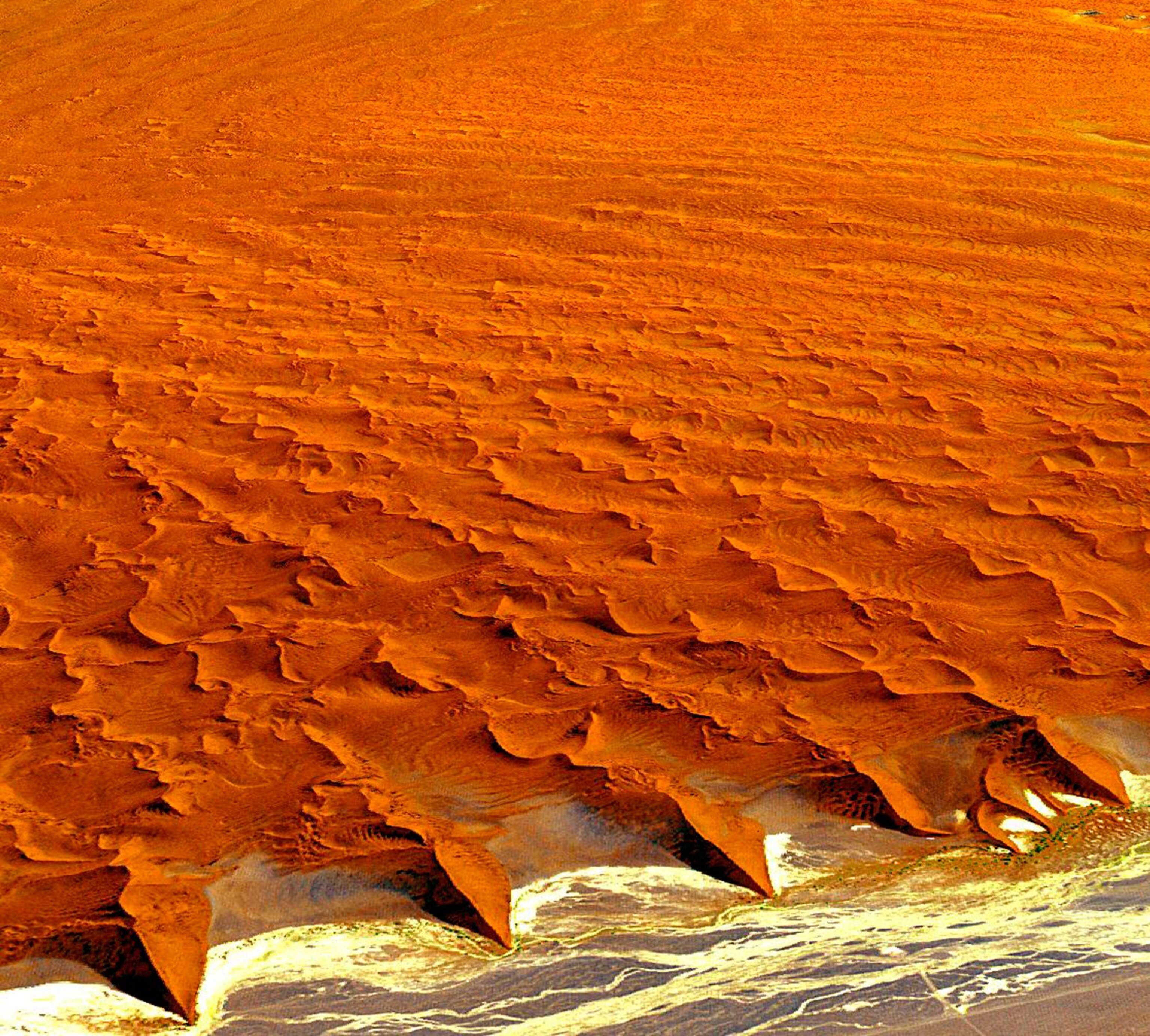 Namib desert