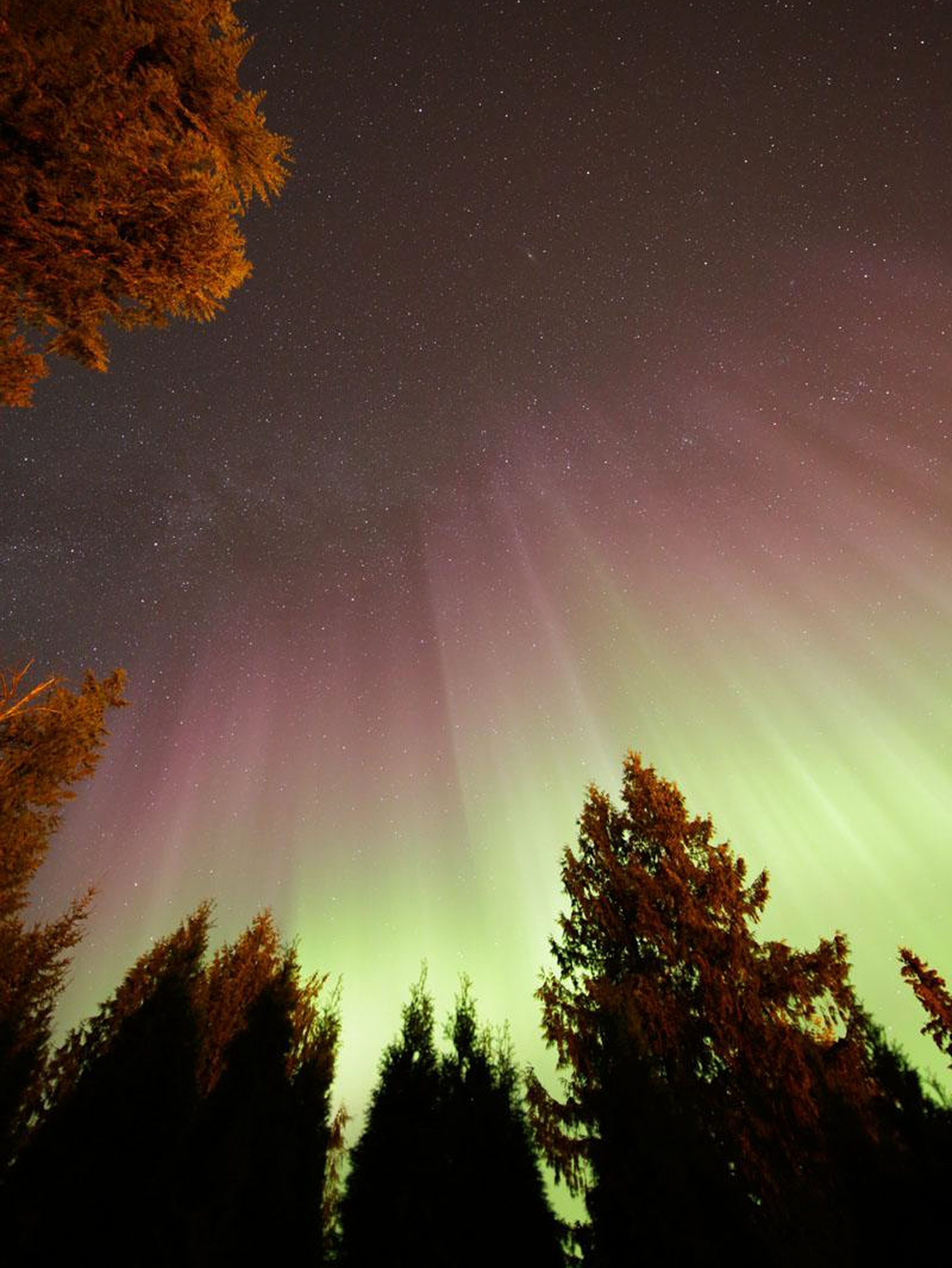 auroras over Lumby, British Columbia