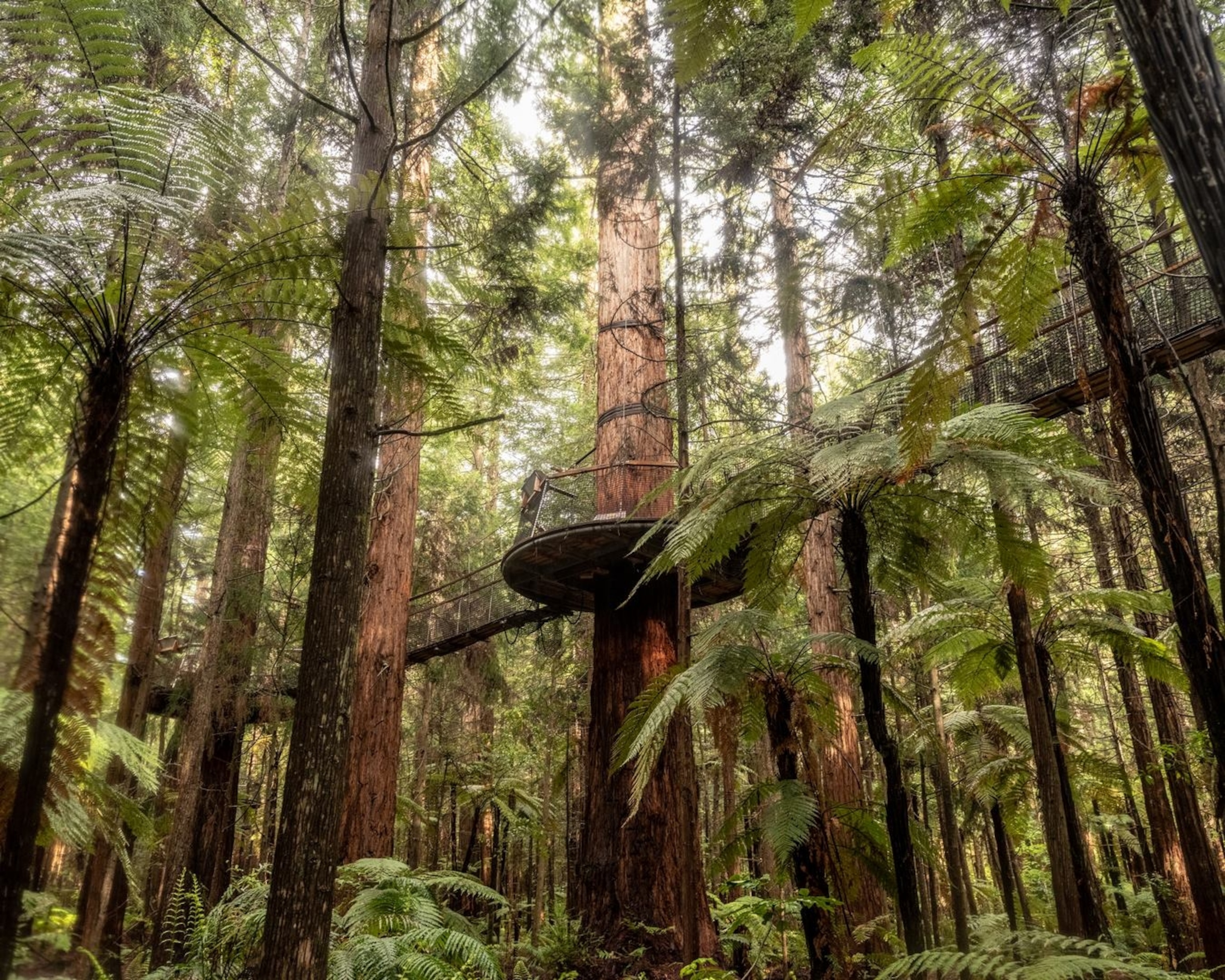 New Zealand, Rotorua and Bay of Plenty