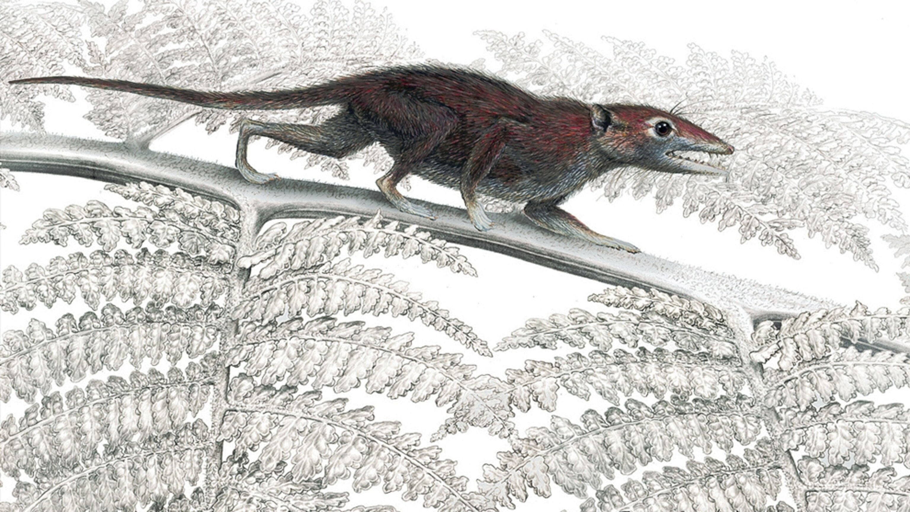 wyse・LAID・JURASSIC■EARLIEST MEMORIES wyse・LAID・JURASSIC□EARLIEST MEMORIES Dinosaur Embryo