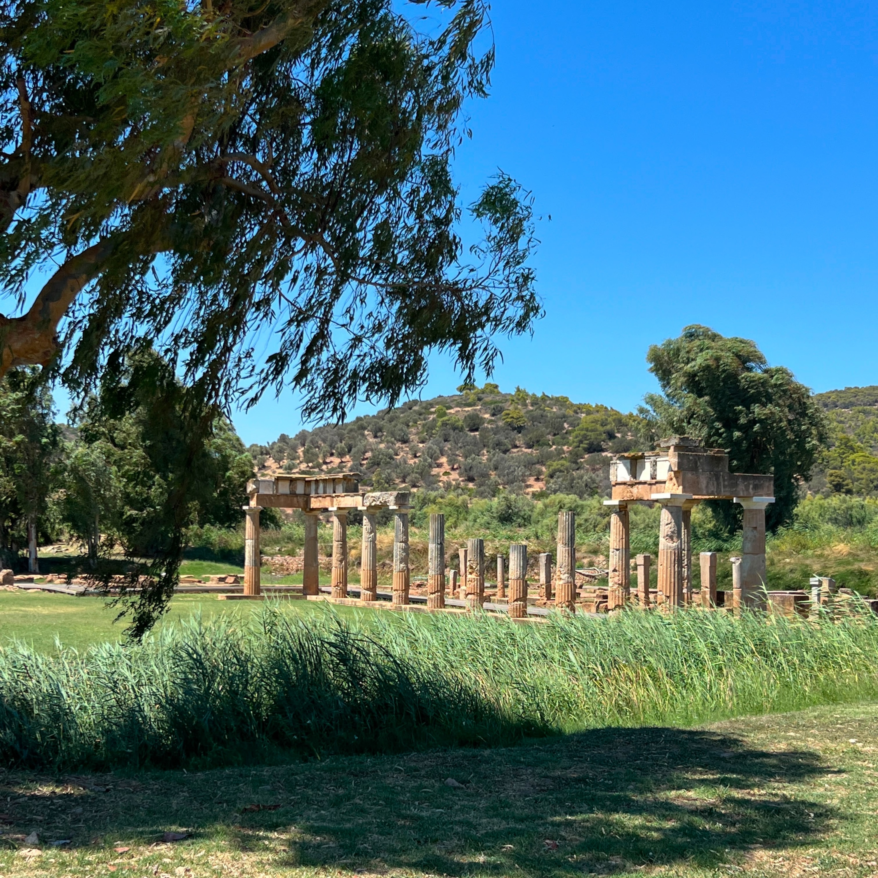 Ancient stone columns stand in an overgrown area, surrounded by grass and trees, beneath a bright blue sky.