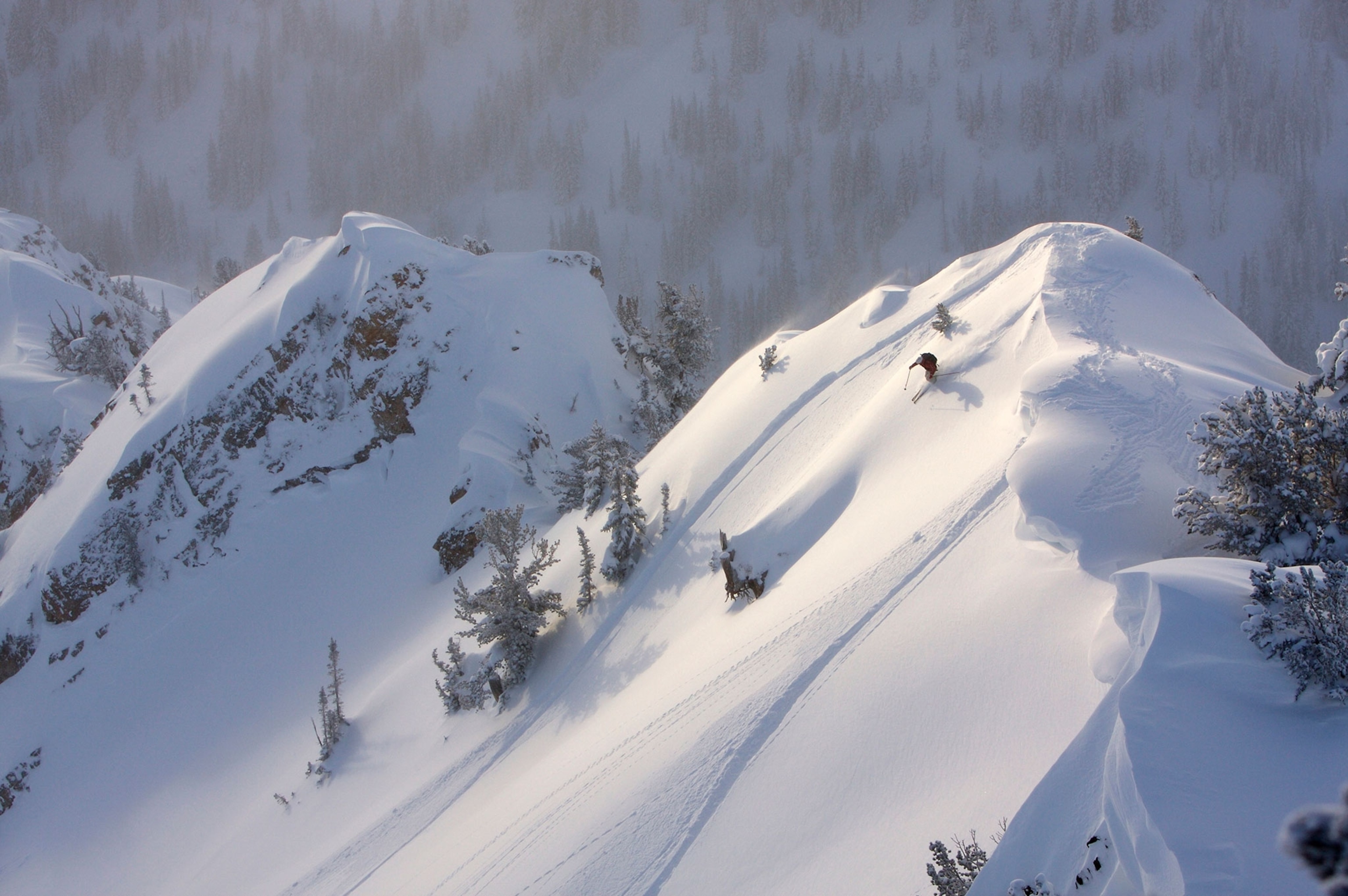 skier turning through fresh powder in Wasatch Backcountry near Salt Lake City, UT