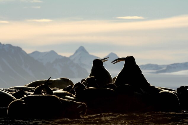 30 Photos Of Beautiful Nature In Europe