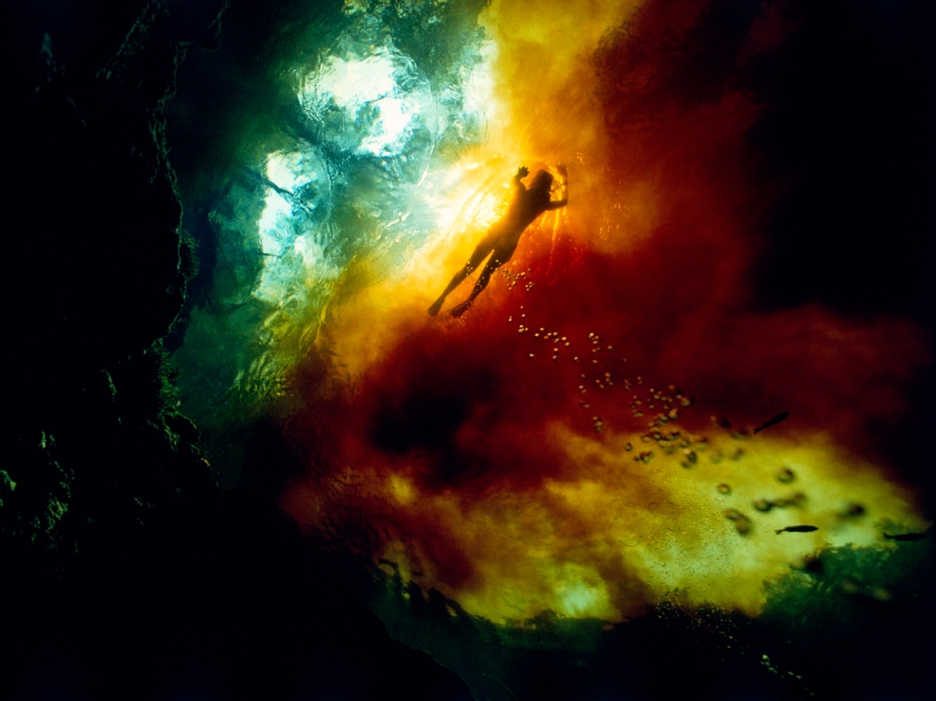 a diver in Ginnie Springs, north Florida