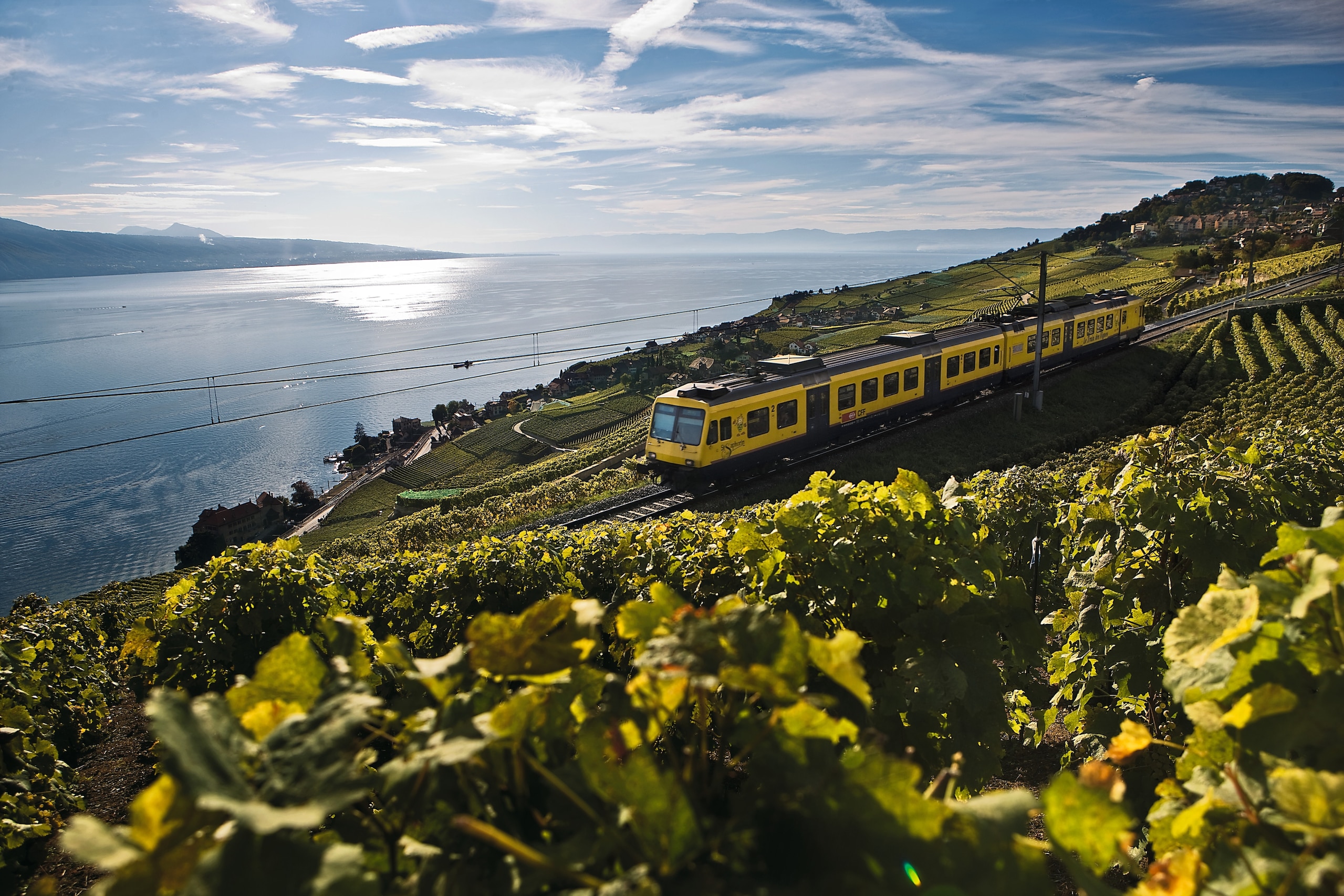 A train in Switzerland runs on the track along the coast through the wine country