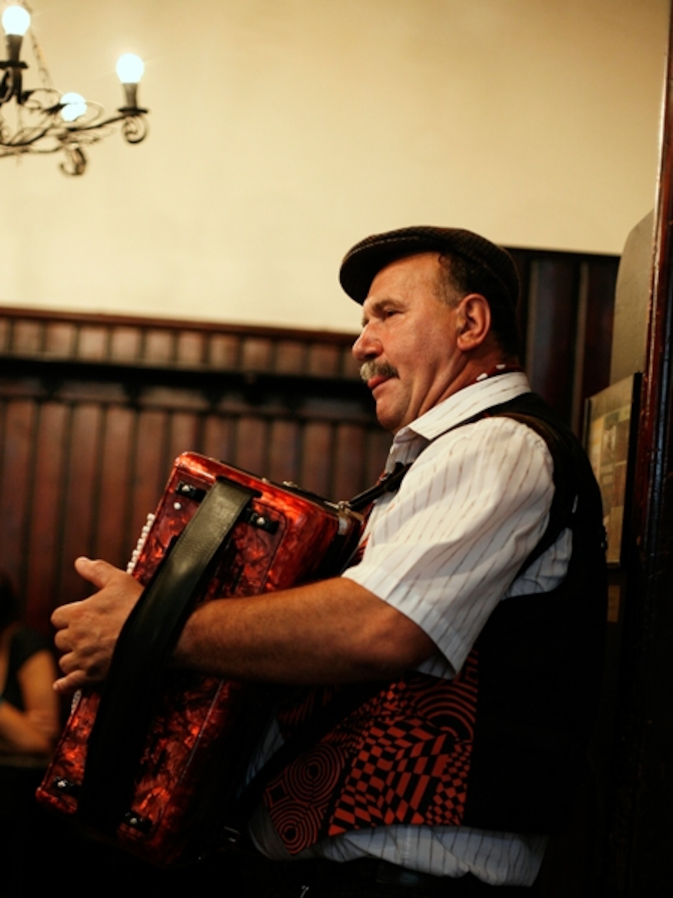 Accordionist in a beer tavern in Prague