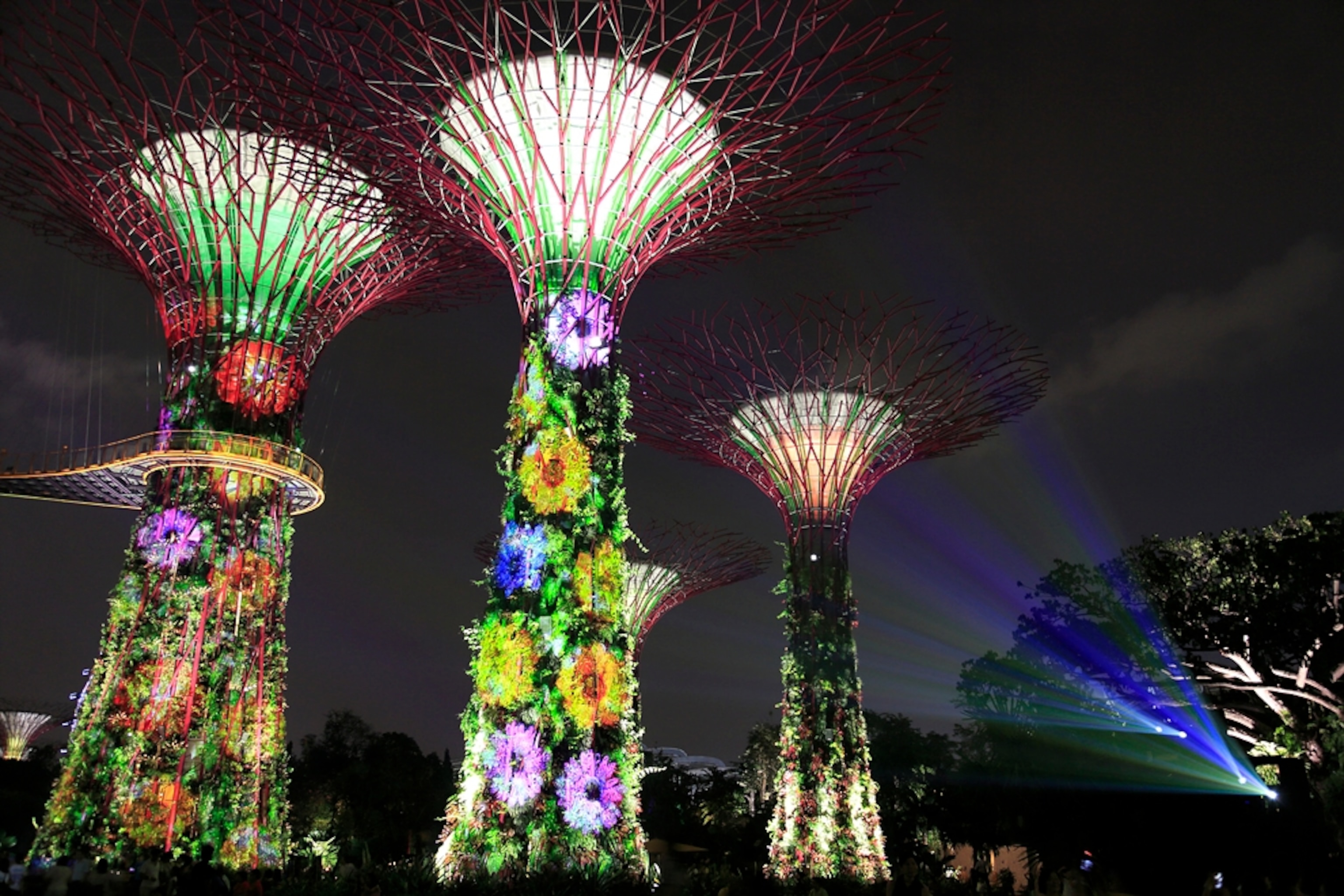 Supertrees in Gardens by the Bay, Singapore