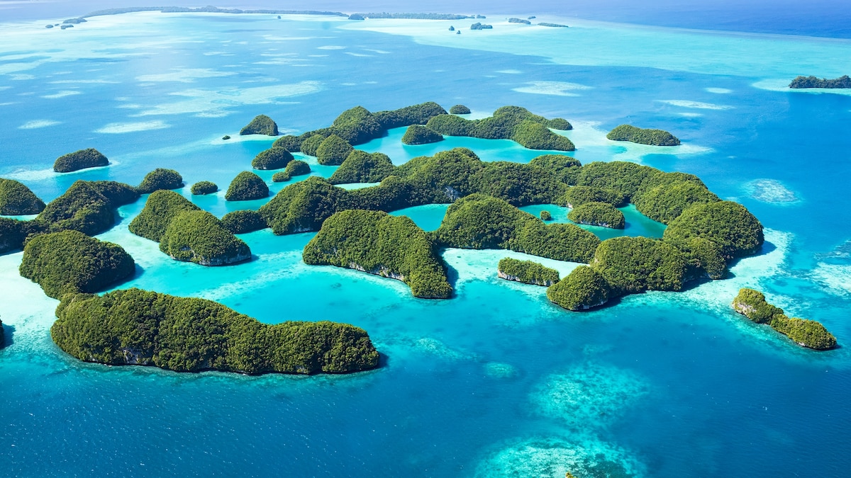 The Pacific paradise where guests are guardians