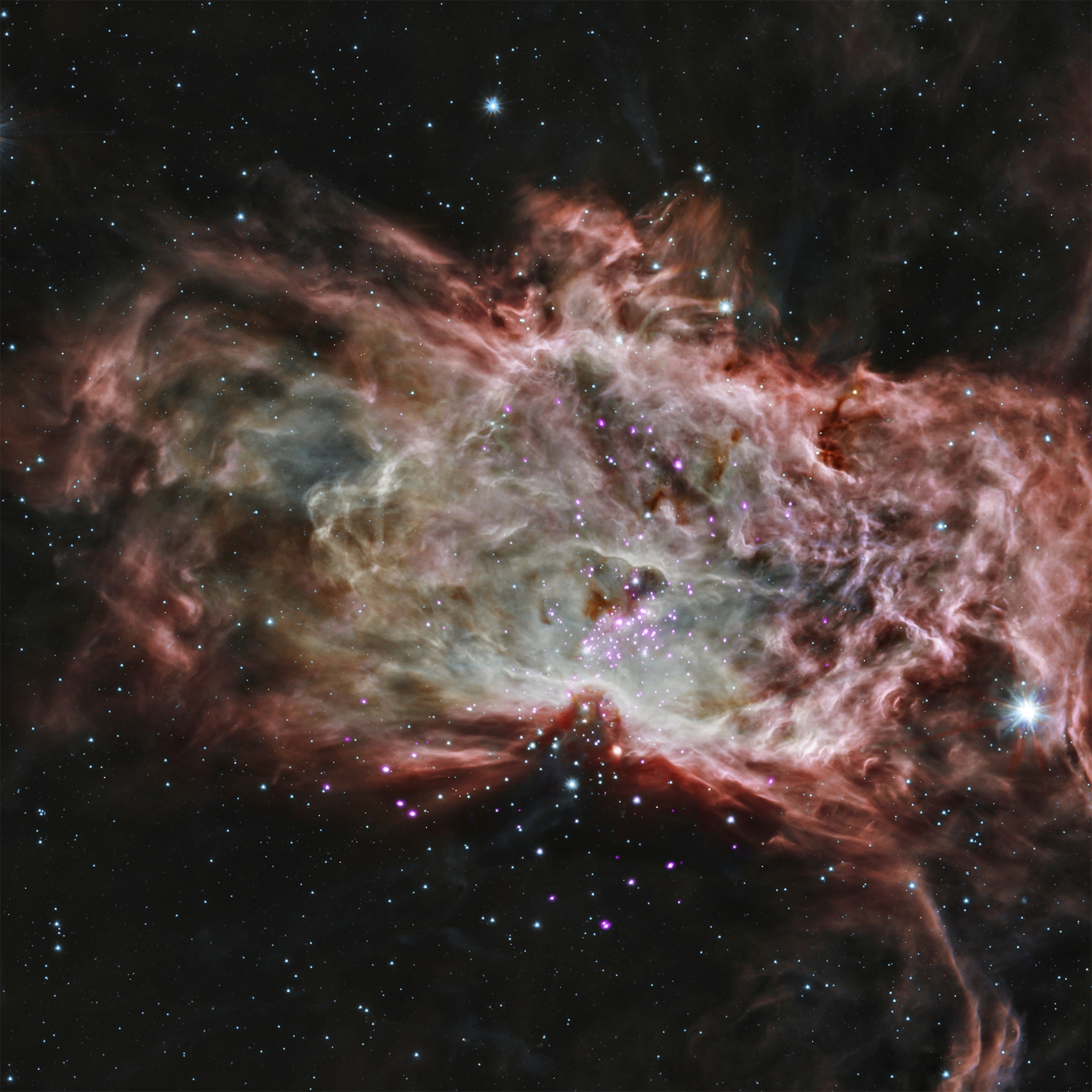 a star cluster located in the center of the Flame Nebula.