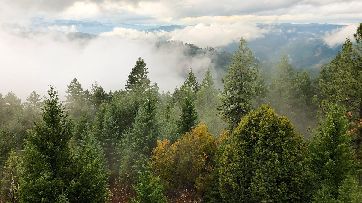 Swastika Mountain needed a new name. Here's how it got one. - Vimarsana News