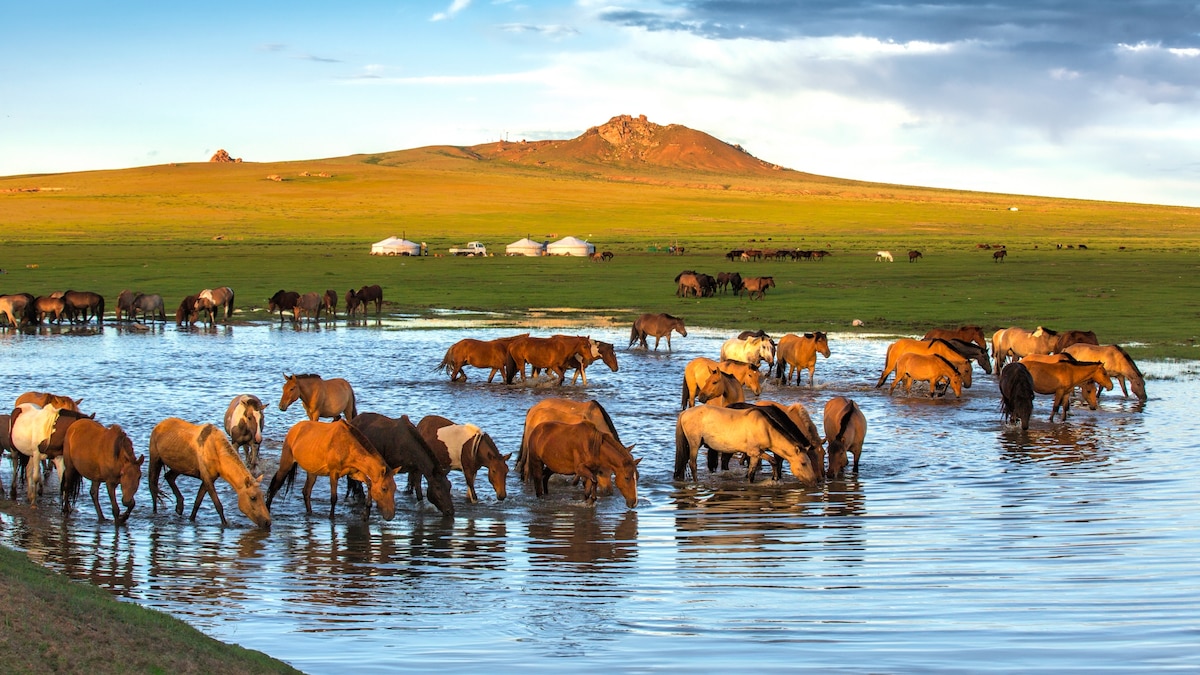 This sacred site is one of the world’s oldest nature reserves
