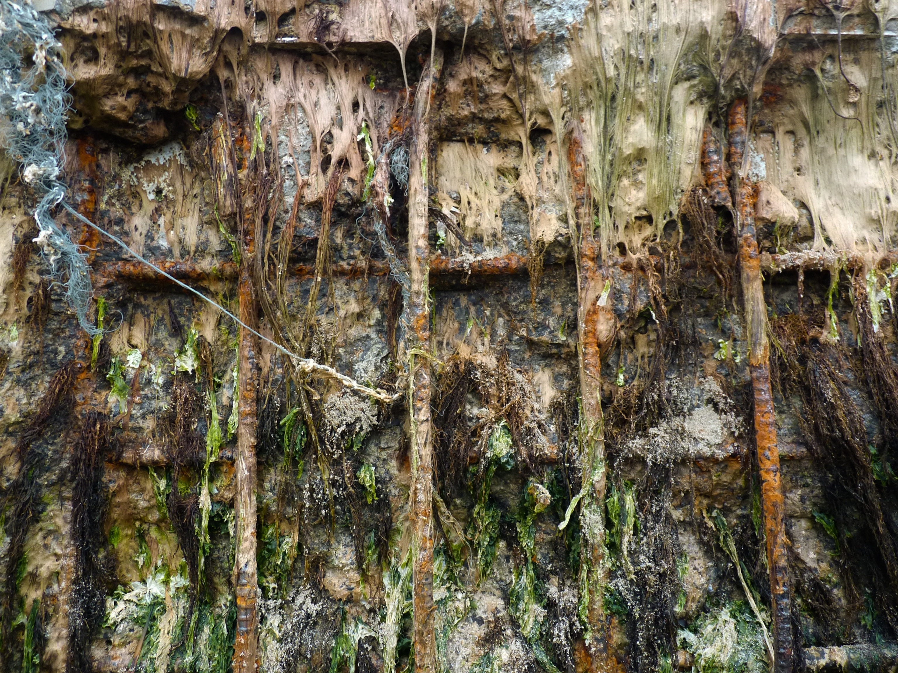 Japanese tsunami dock picture: structure on Oregon beach