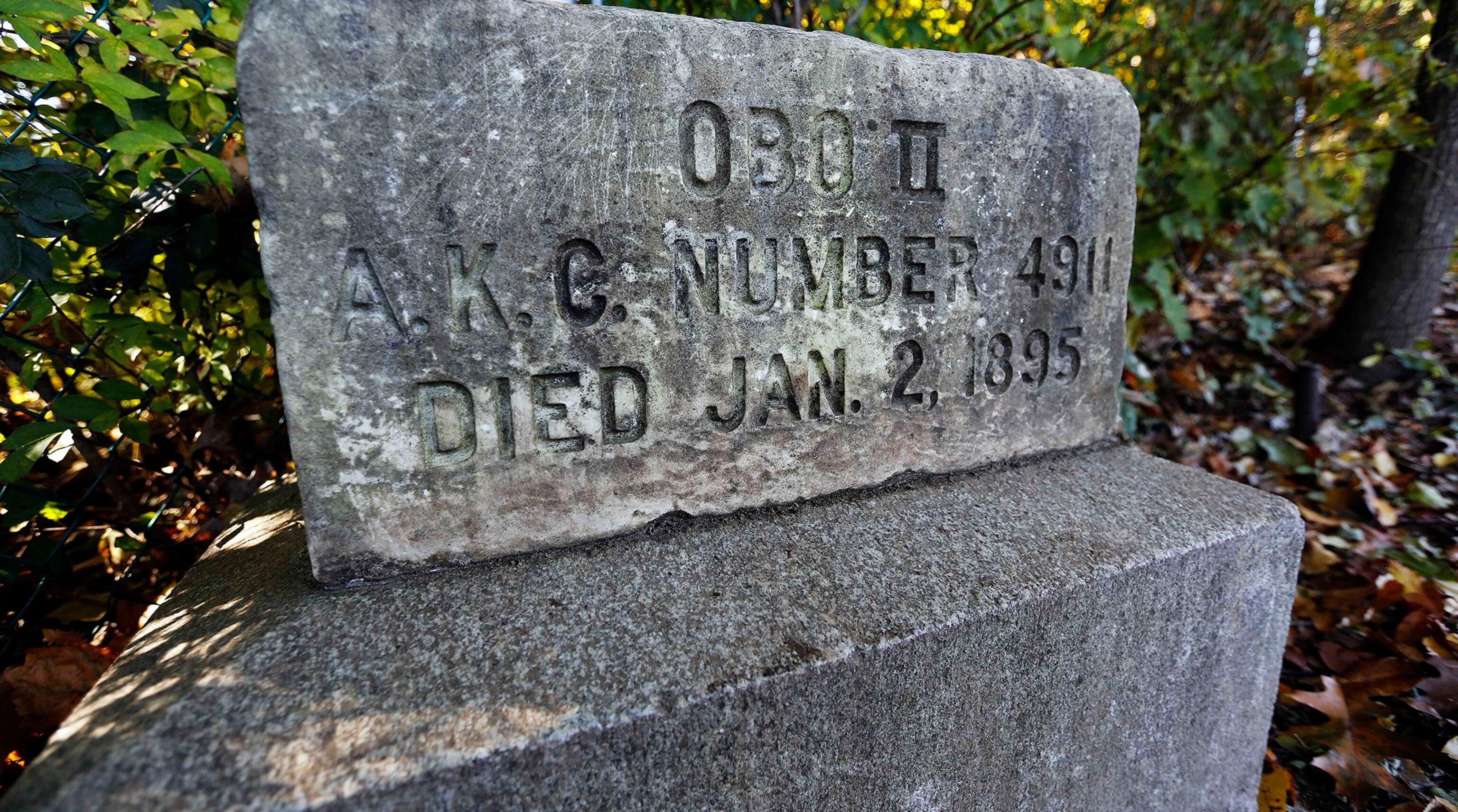 Obo's II grave