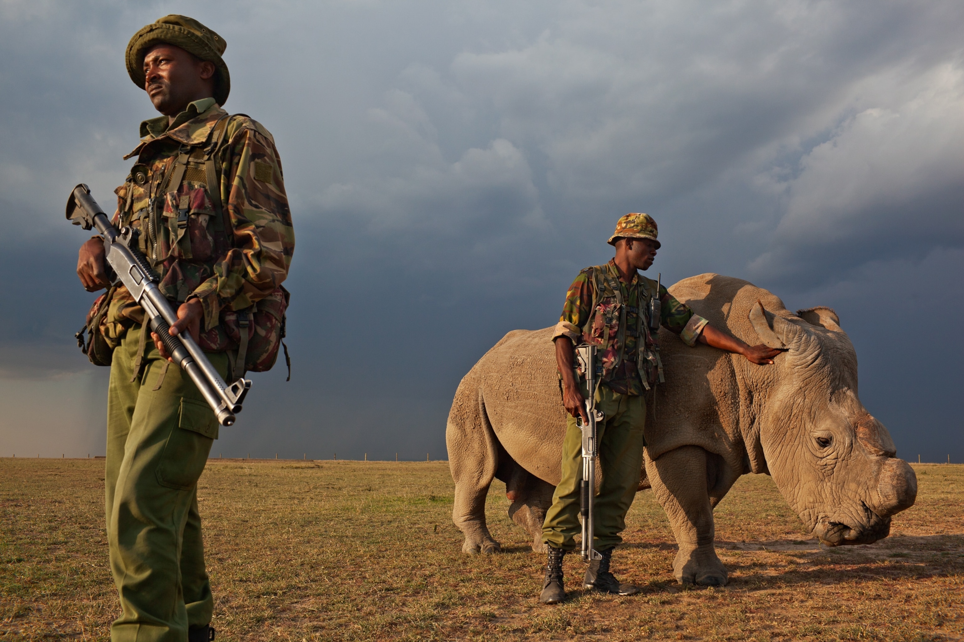 2 members of anti-poaching team with a white rhino.