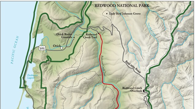 Best Redwood National Park Hike, Trail Map -- National Geographic