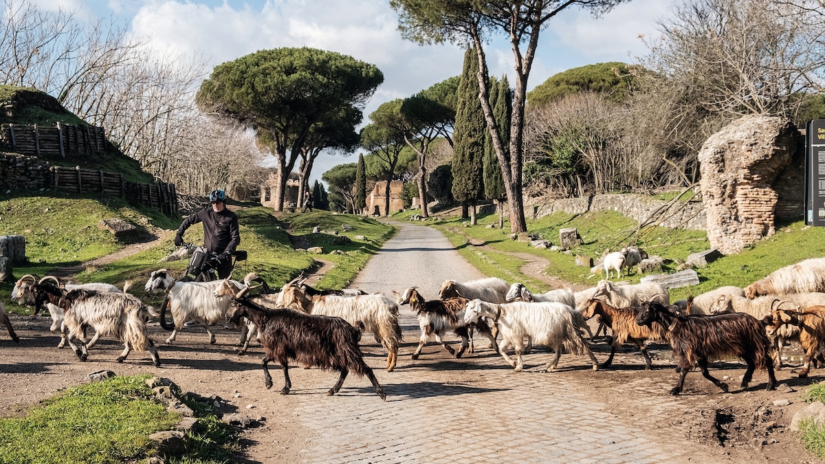 Walking the Appian Way: a stroll through time on Rome's ancient road - Vimarsana News
