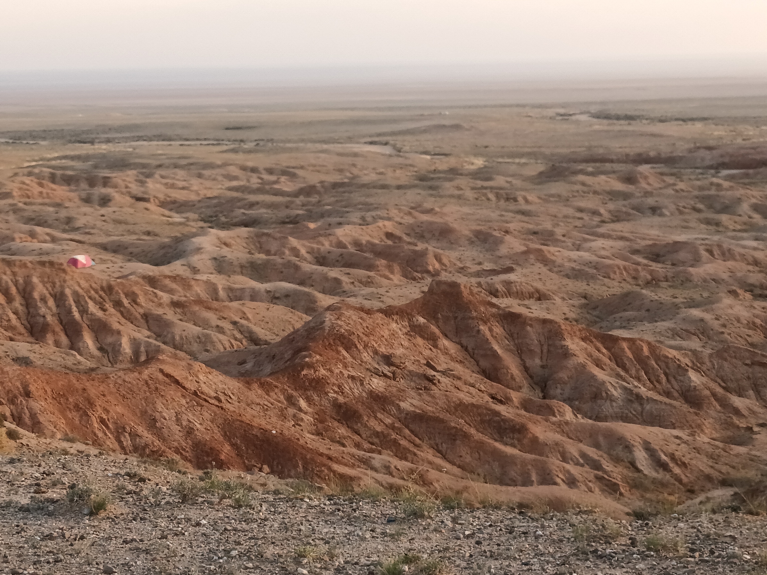 Looking out across the exposed fossil-bearing strata of the fossil locality Teel Ulaan Chaltsai, located in the Sainshand Sub-basin, Eastern Gobi Basin, Mongolia. The team dated eggshell from the Teel Ulaan Chaltsai locality.