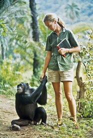 Jane Goodall 1960