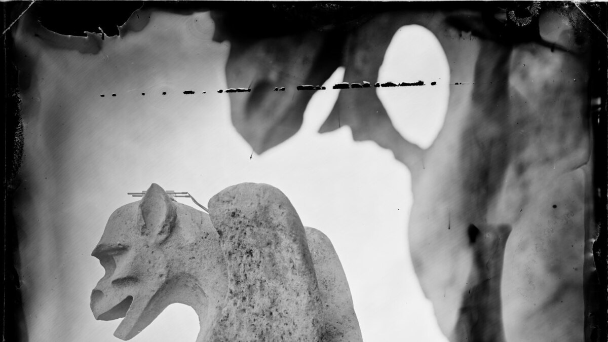 Notre Dame portraits celebrate restoration with vintage photography - Vimarsana News
