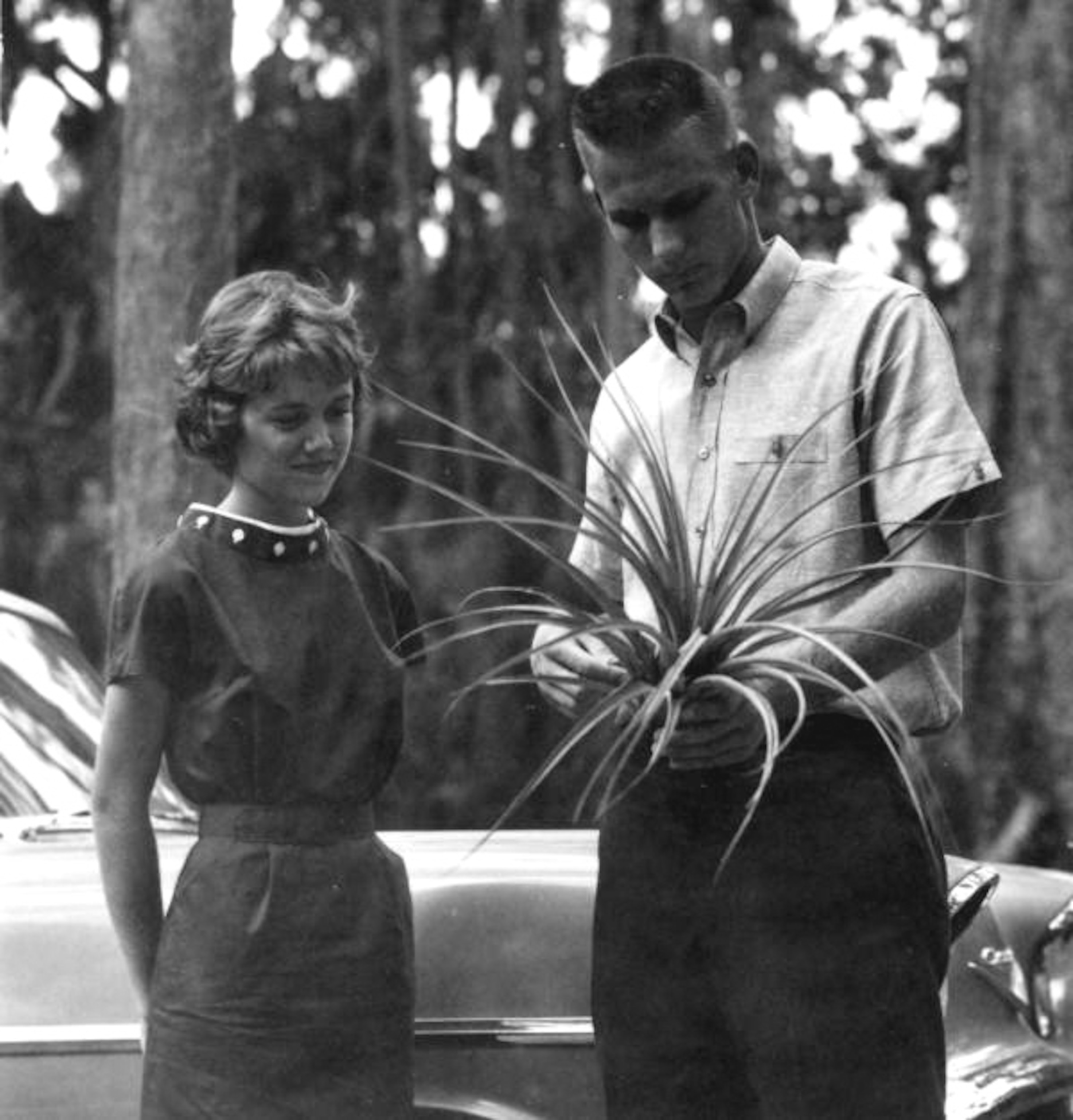 A man and woman in a black and white photograph looking at an air plant.