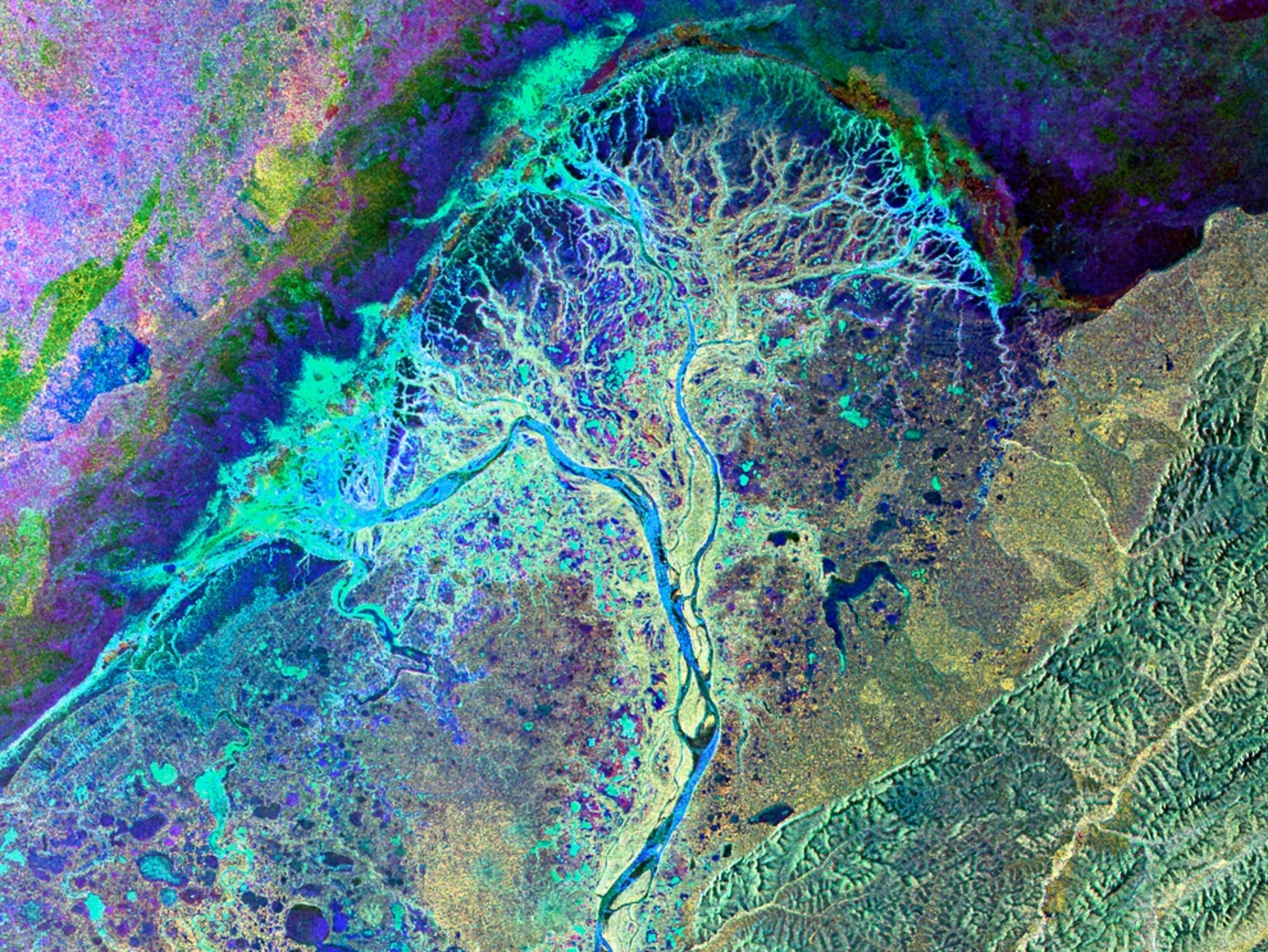 Satellite picture of the Yukon Delta in Alaska